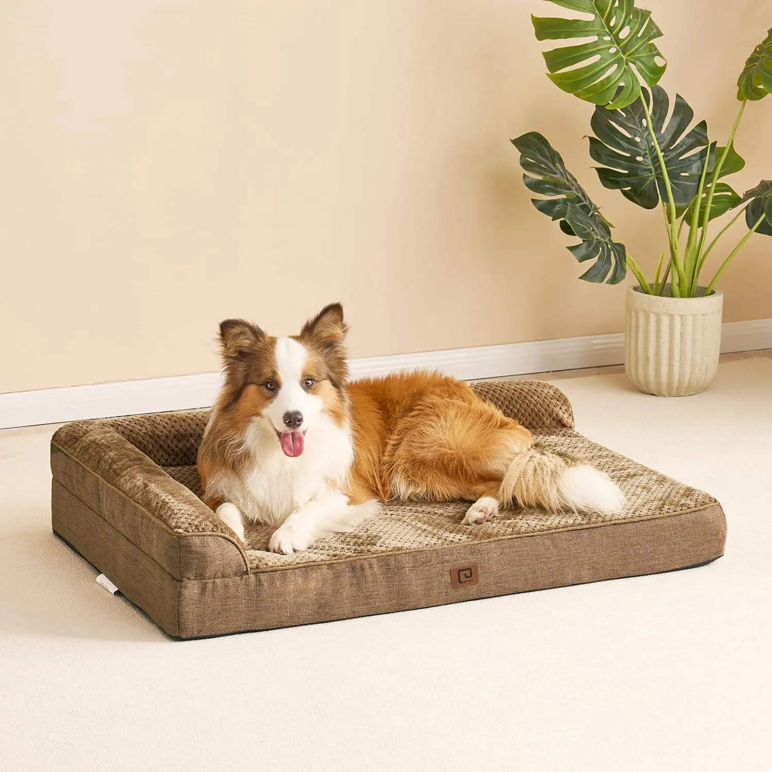 Cama Ortopédica para Perros Medianos de 76 x 50 cm 9