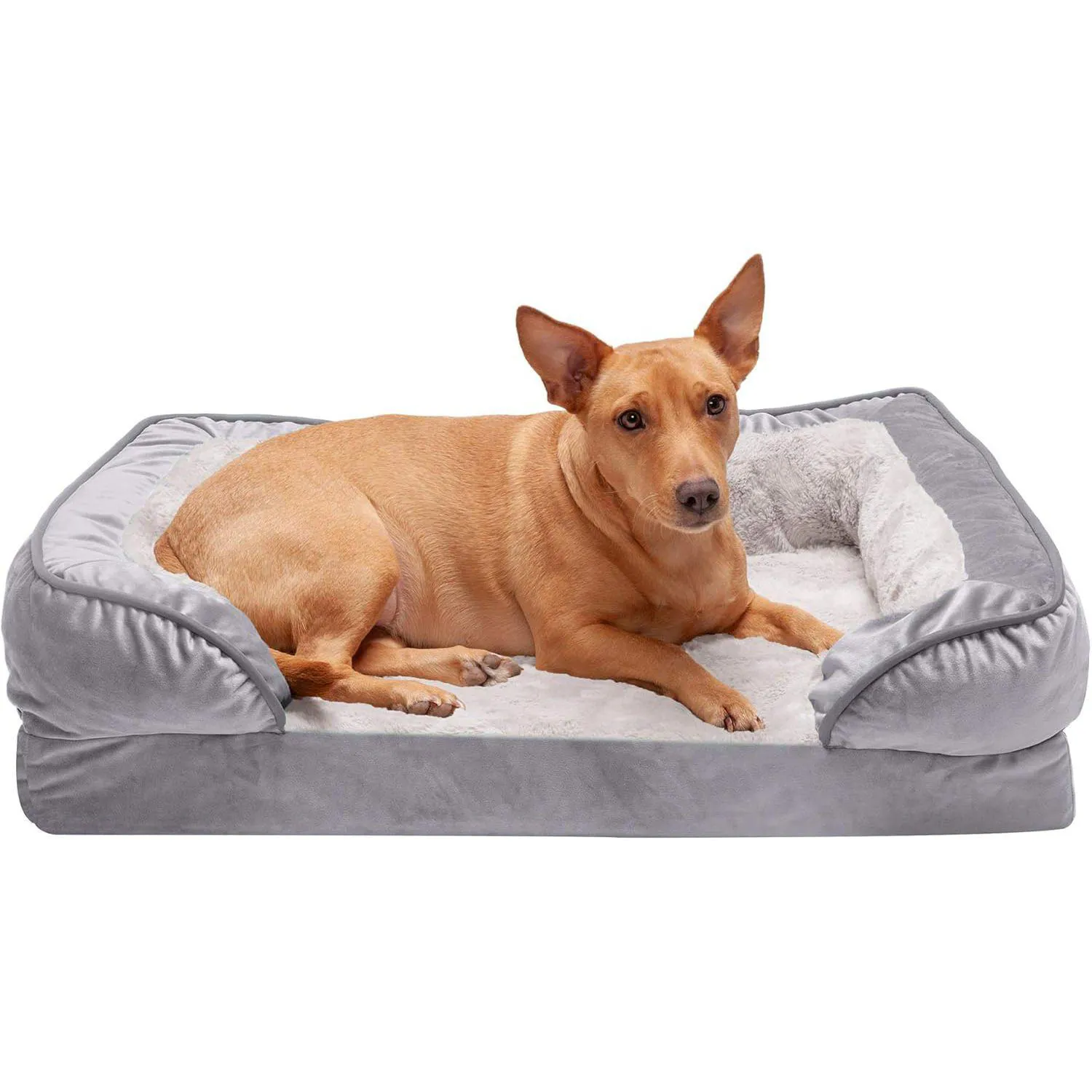 Cama Ortopédica para Perros con Cojines 76 x 50 cm