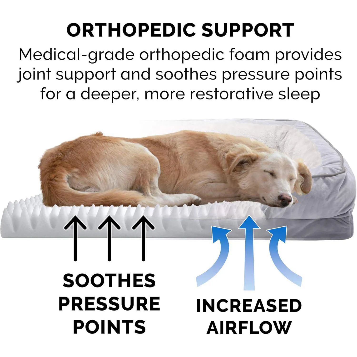 Cama Ortopédica para Perros con Cojines 76 x 50 cm 5