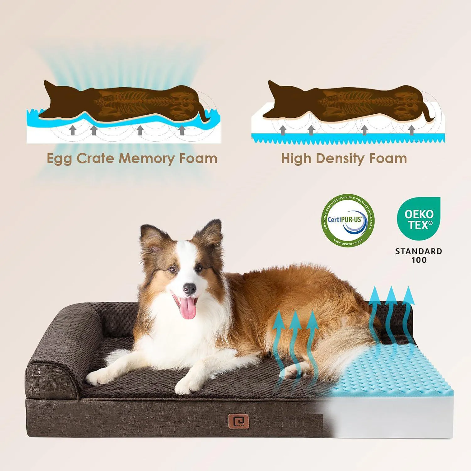 Cama Ortopédica de Espuma Viscoelástica con Forro Impermeable 4