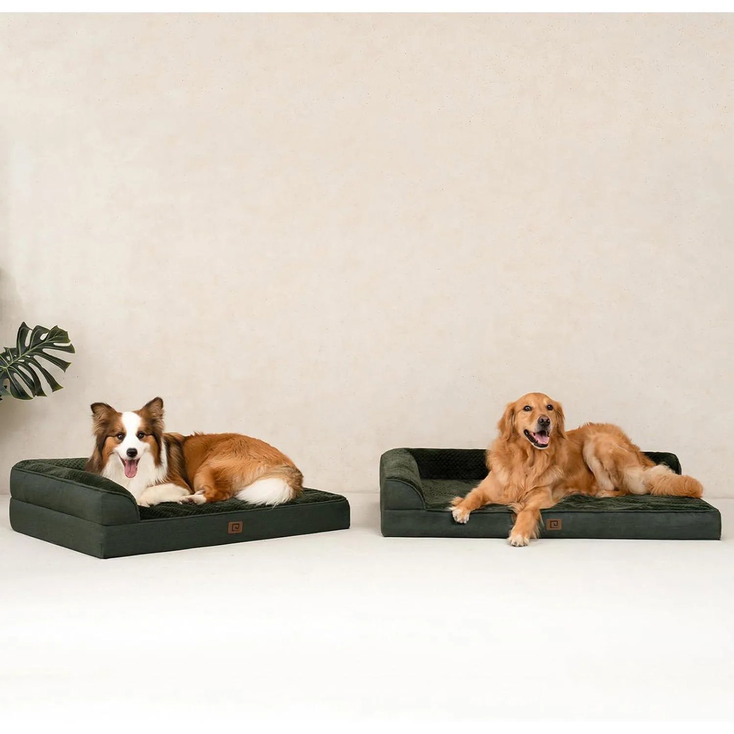 Cama Ortopédica de Espuma viscoelástica para Mascotas 8
