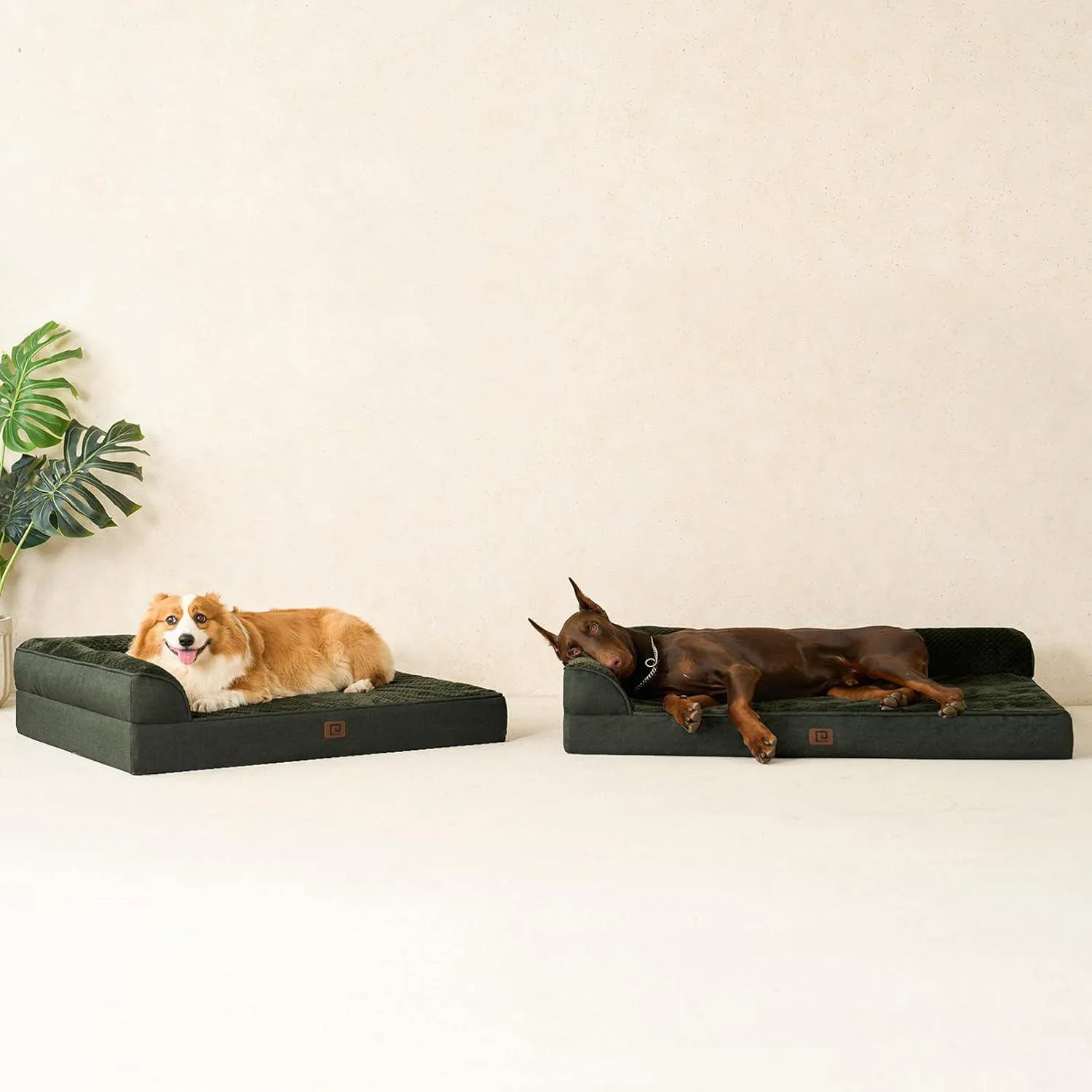 Cama Ortopédica de Espuma viscoelástica para Mascotas 9