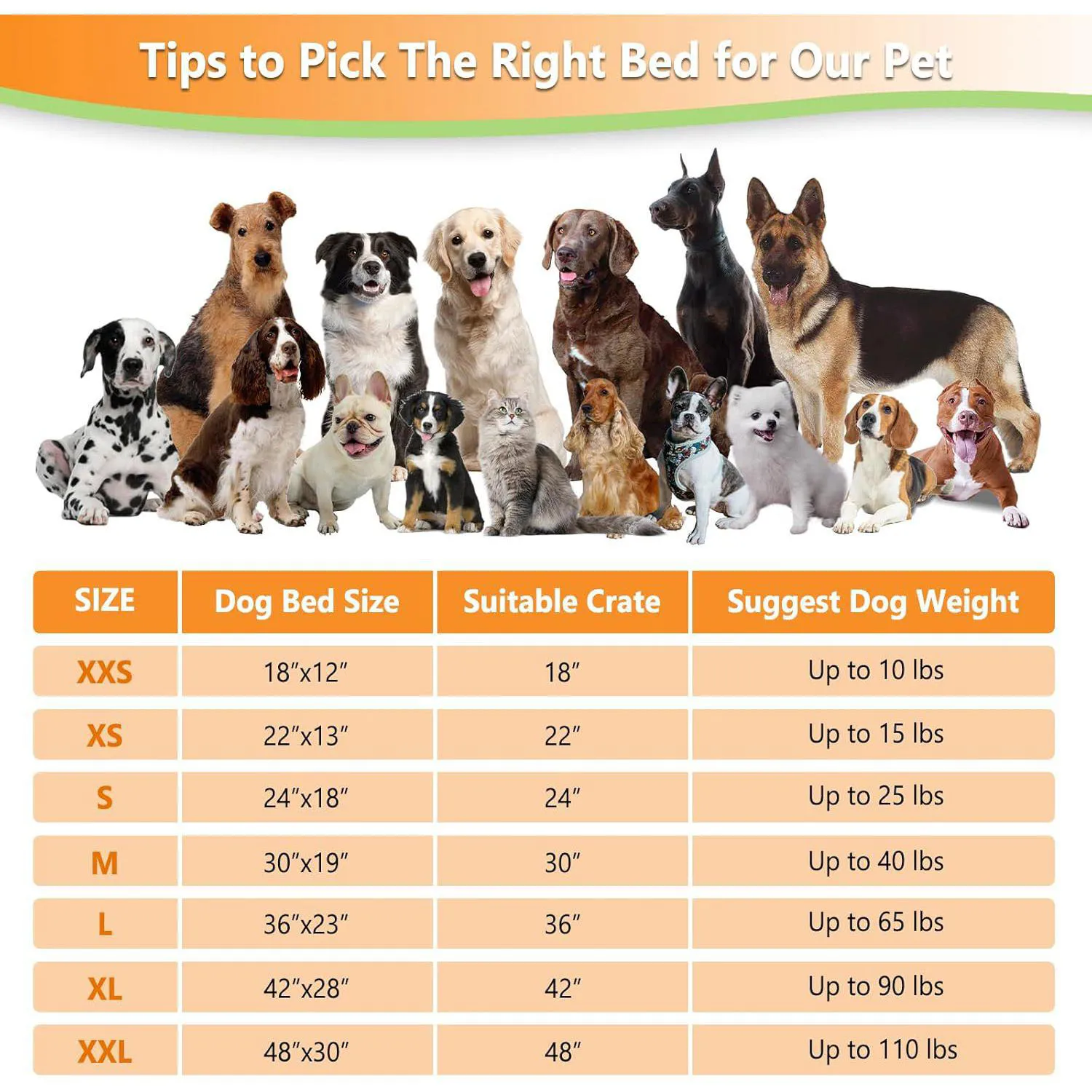 Cama para Perros Grandes 6