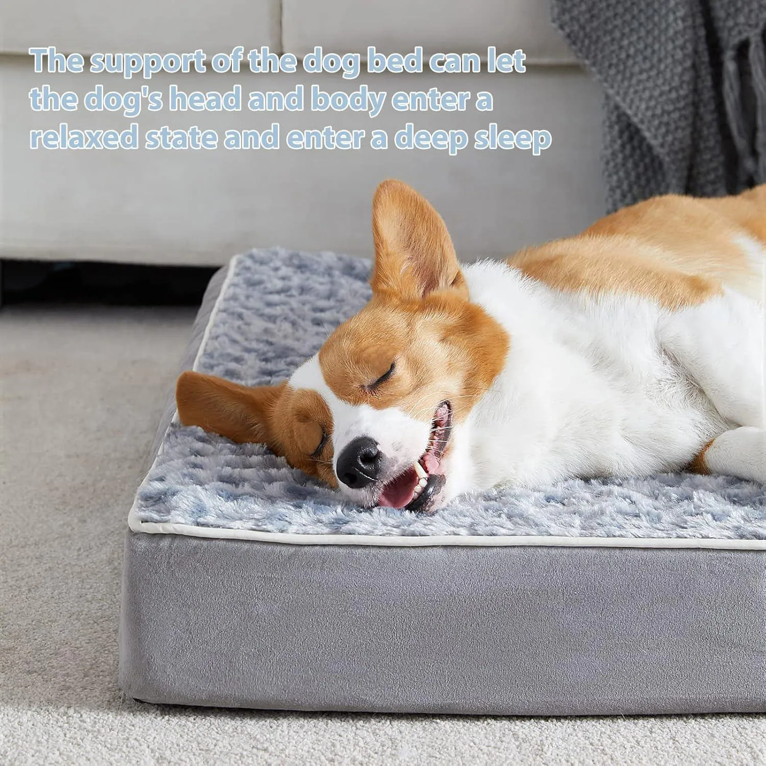 Cama Ortopédica para Perros Grandes 3
