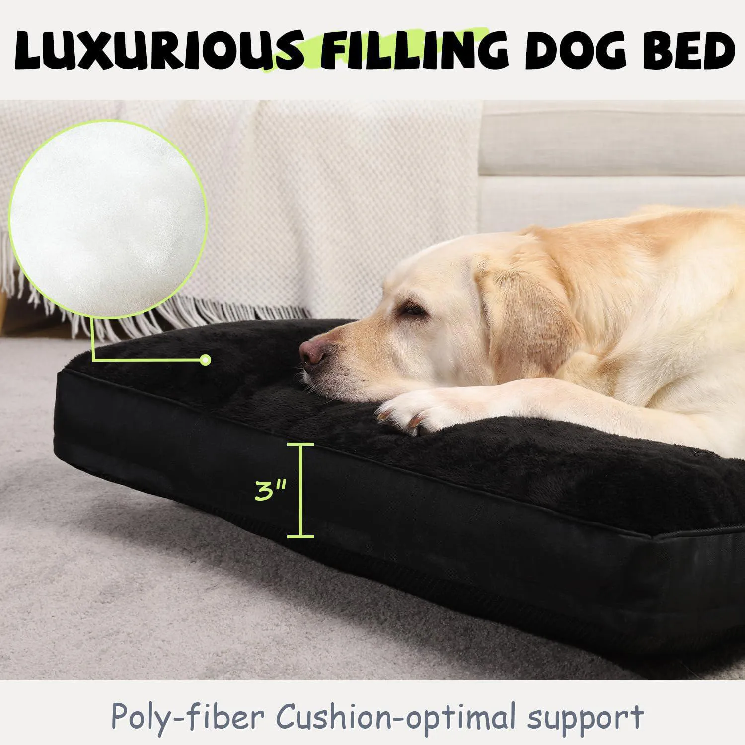 Cama para Perro Impermeable 3