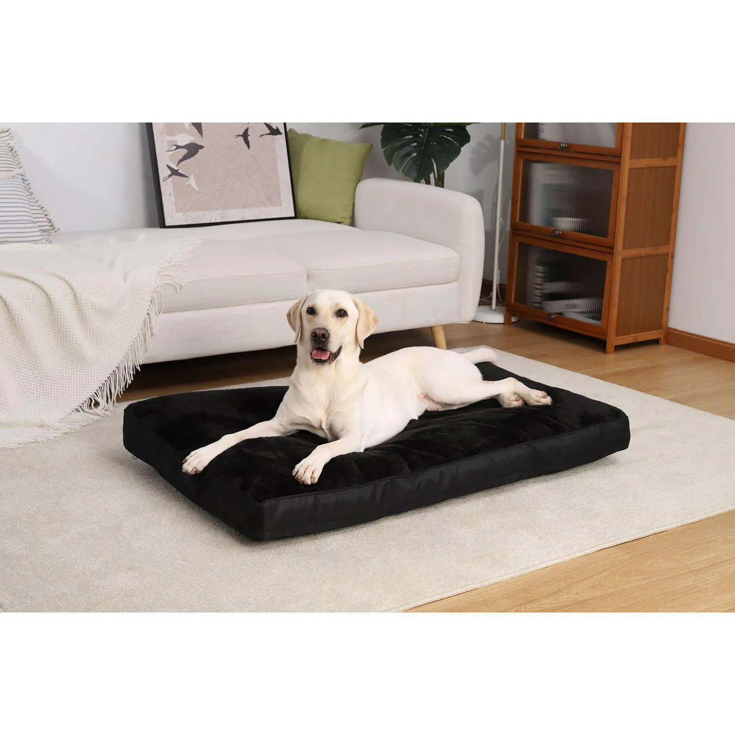 Cama para Perro Impermeable 6