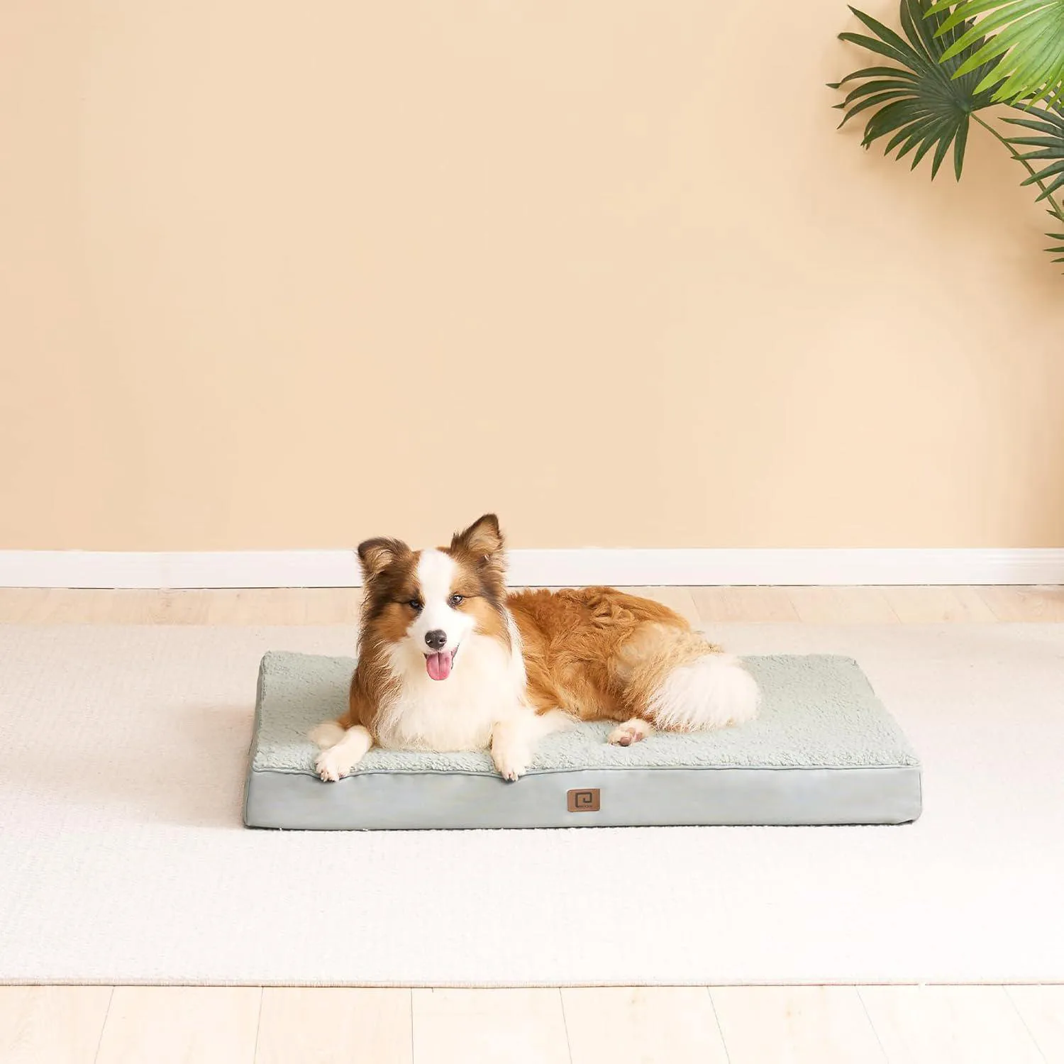 Cama Lavable para Mascotas Grandes con Funda Extraíble 8