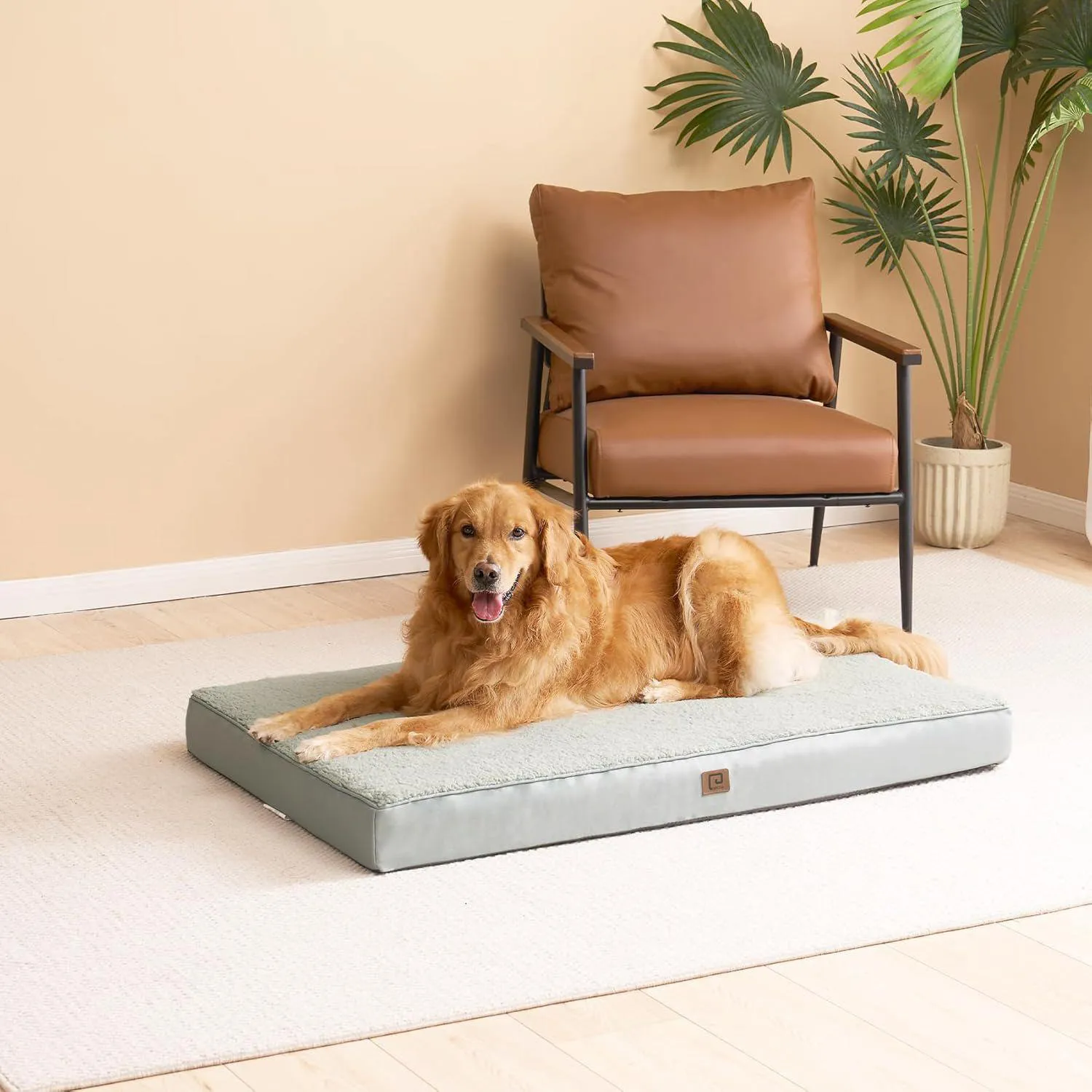 Cama Lavable para Mascotas Grandes con Funda Extraíble 9