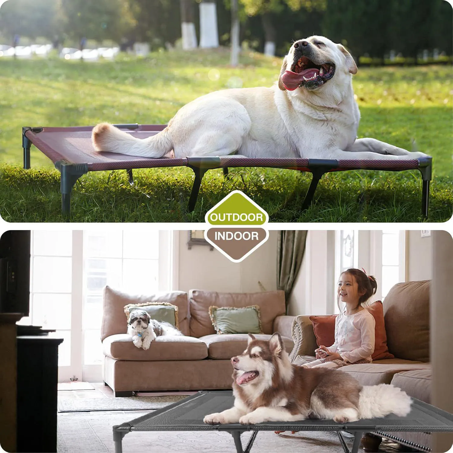 Cama Elevada para Mascotas Impermeables 5
