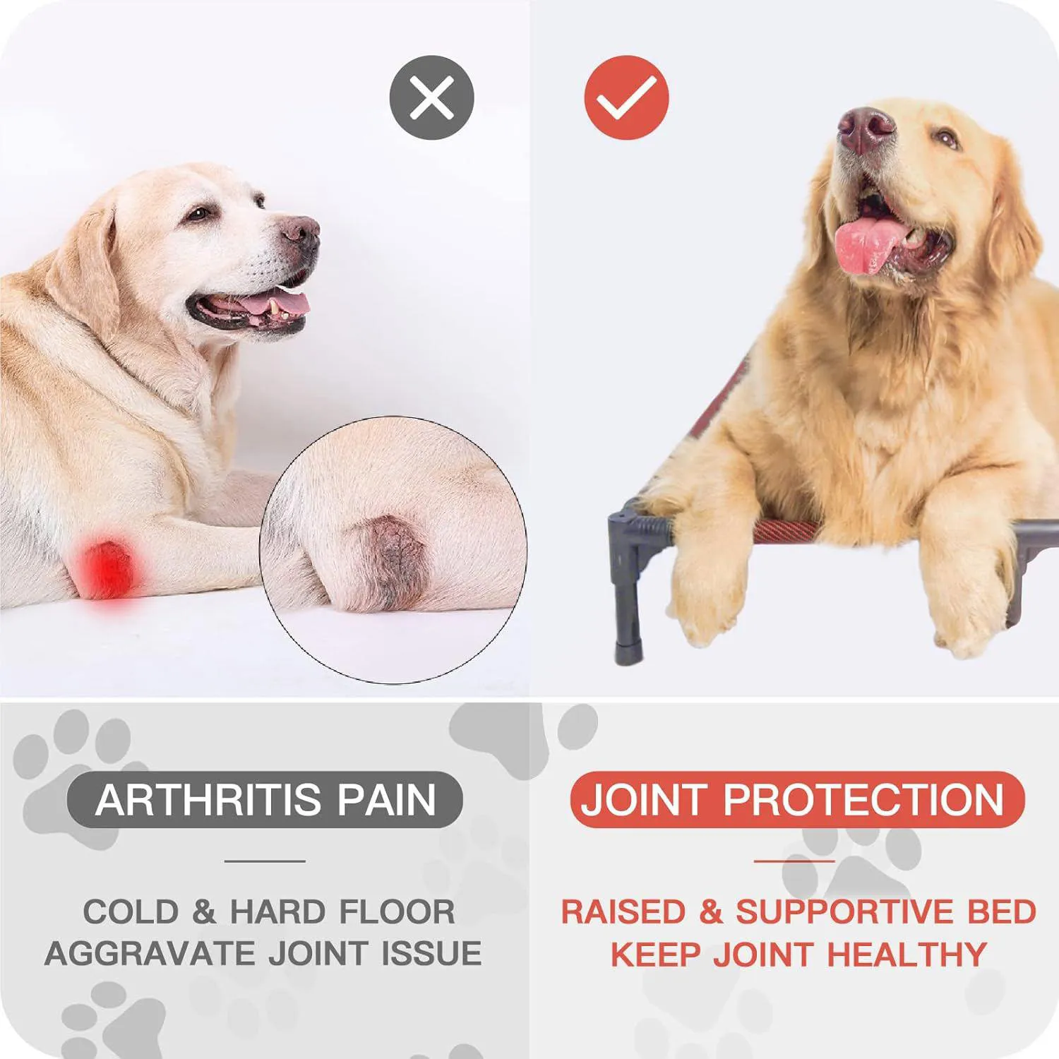 Cama Elevada para Mascotas Impermeables 6