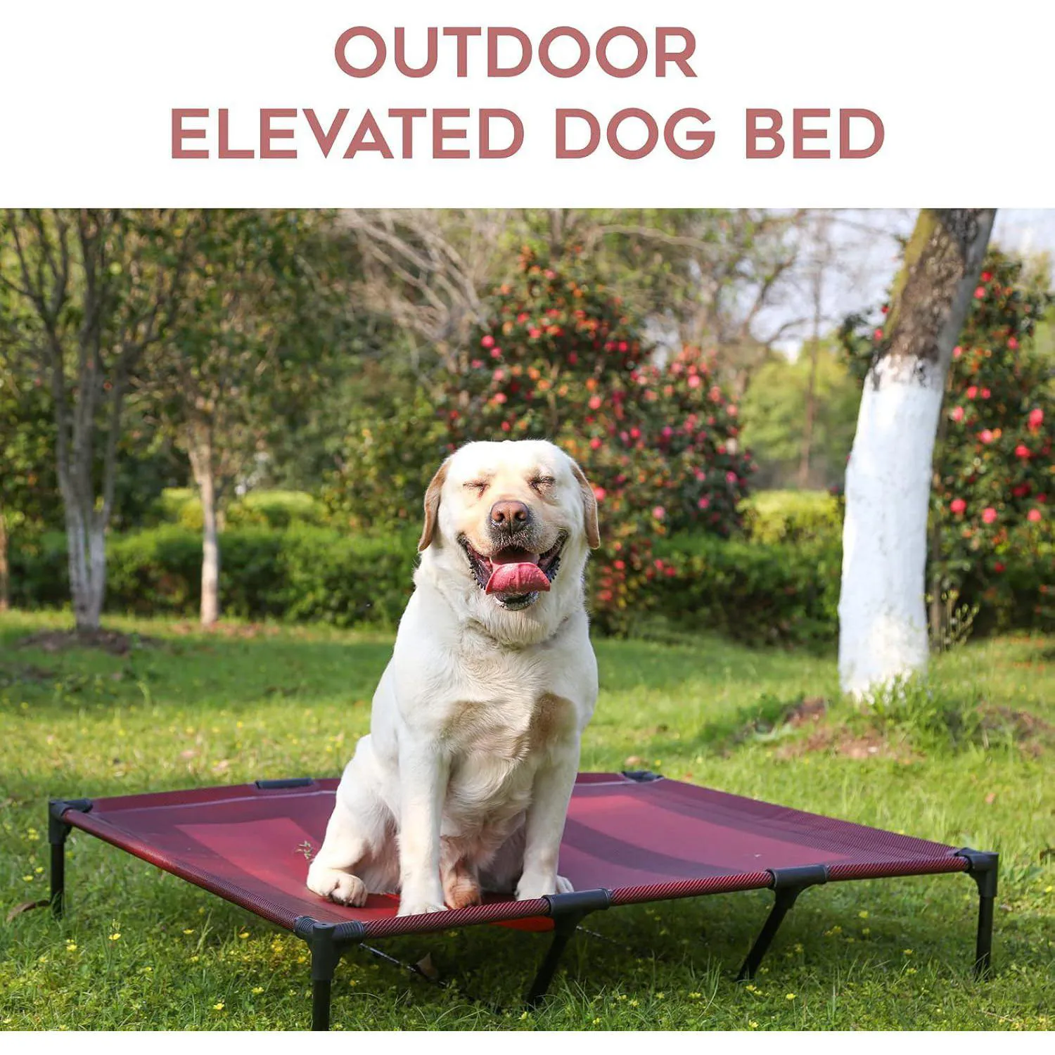 Cama Elevada para Mascotas Impermeables 8
