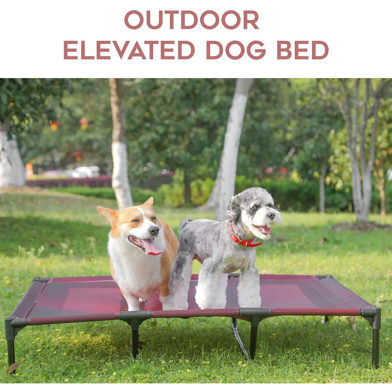 Cama Elevada para Mascotas Impermeables 9