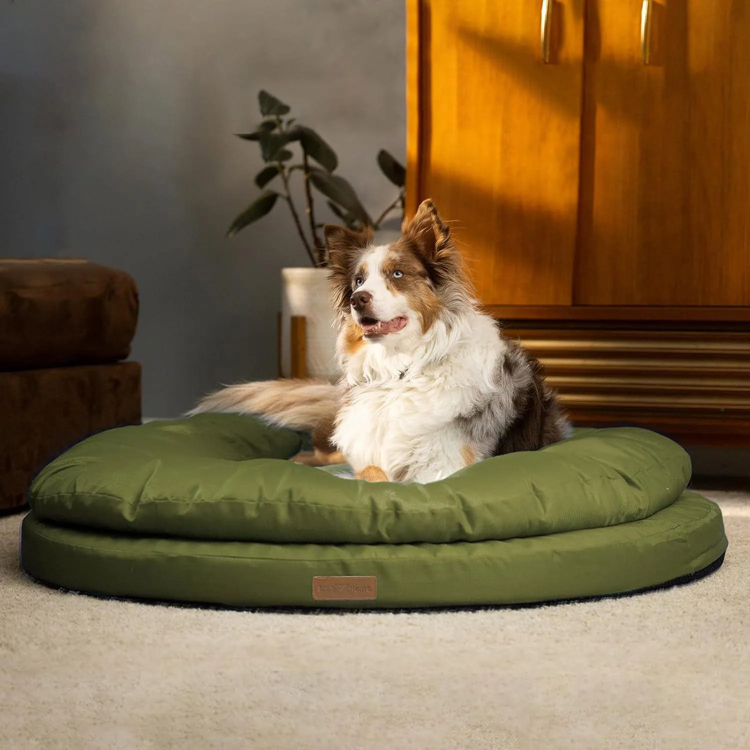 Cama Ortopédica para Mascotas Grandes con Cubierta Lavable