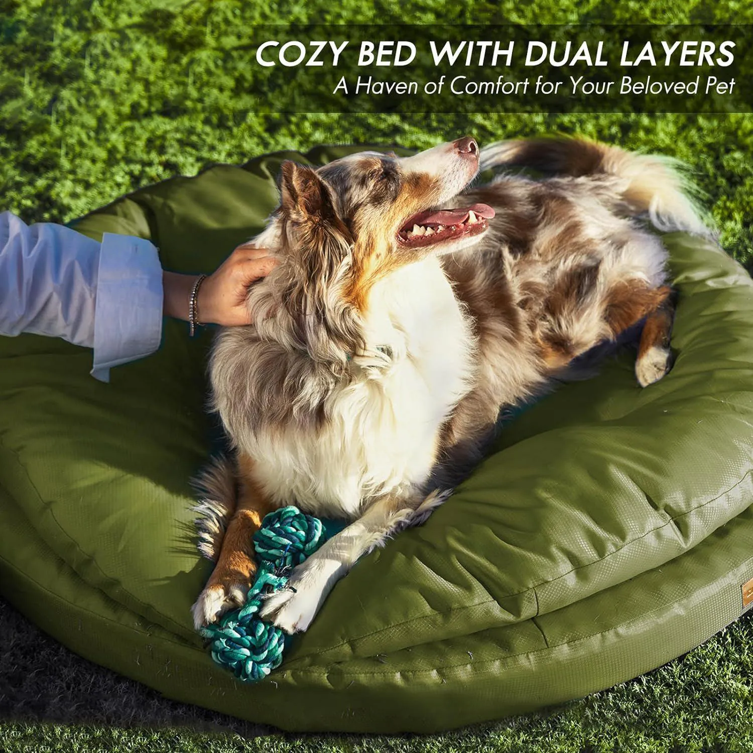 Cama Ortopédica para Mascotas Grandes con Cubierta Lavable 3