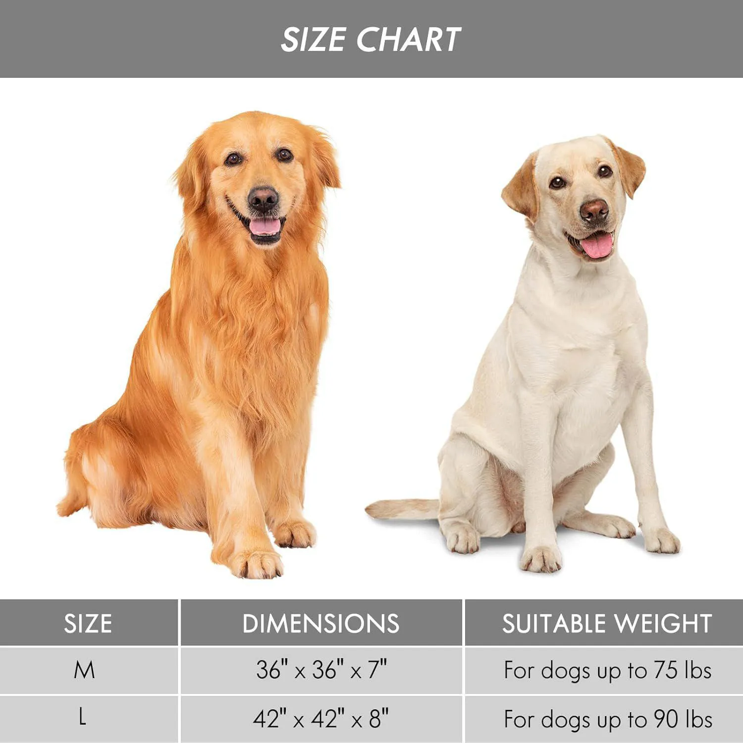 Cama Ortopédica para Mascotas Grandes con Cubierta Lavable 7