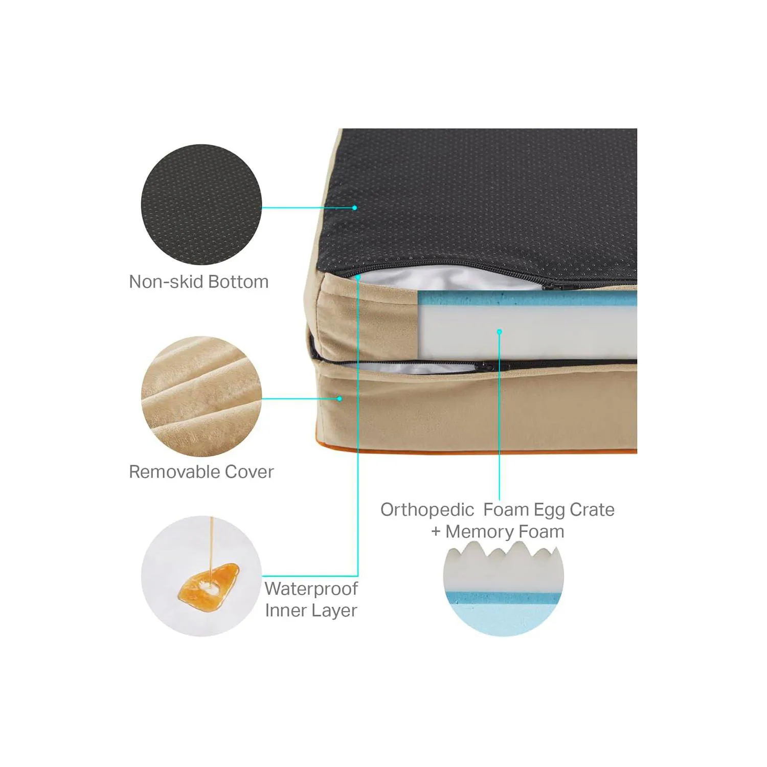 Cama Ortopédica con Espuma Viscoelástica y Funda Extraíble 4