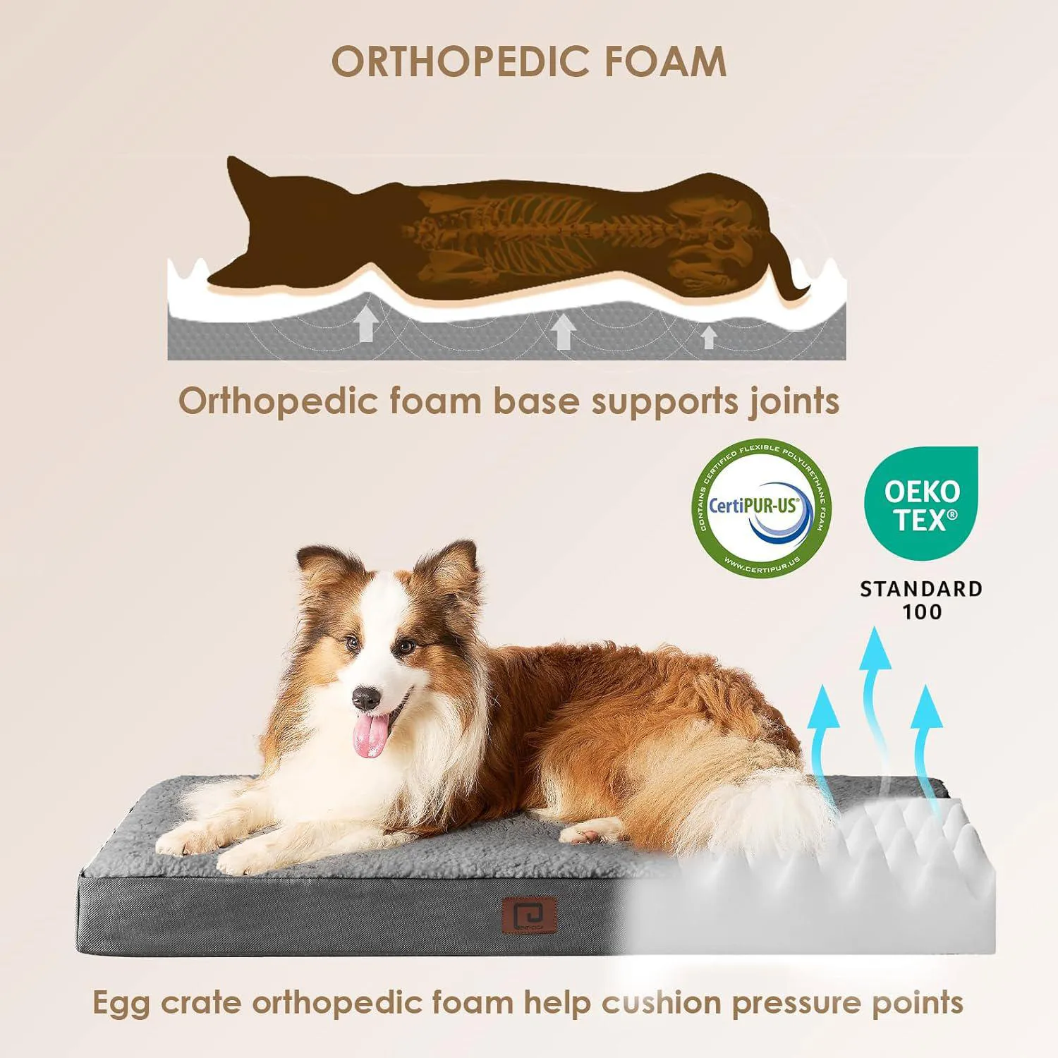 Cama Ortopédica para Mascotas Grandes con Funda Extraíble Lavable