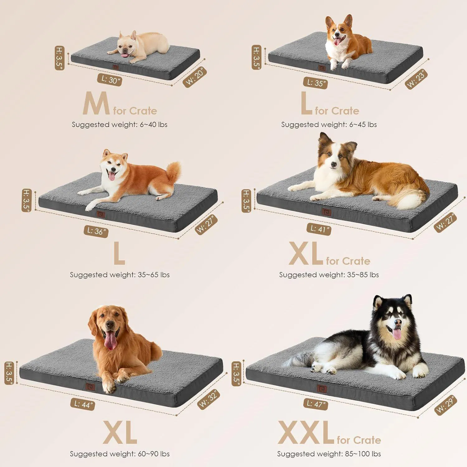 Cama Ortopédica para Mascotas Grandes con Funda Extraíble Lavable 3