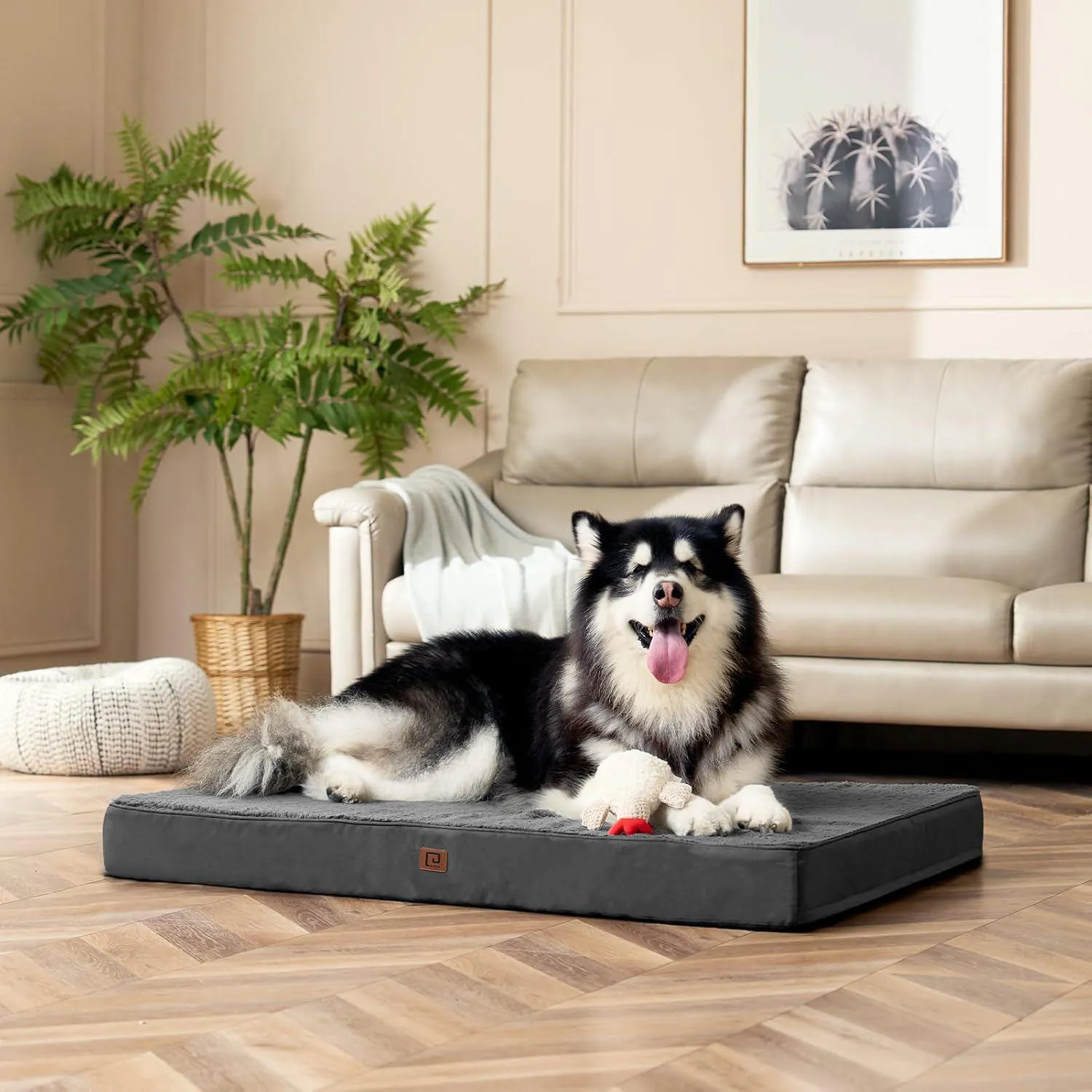Cama Ortopédica para Mascotas Grandes con Funda Extraíble Lavable 9