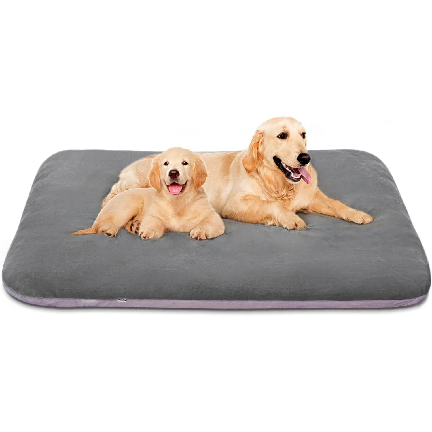Cama Ortopédica Extra Grande para Perros