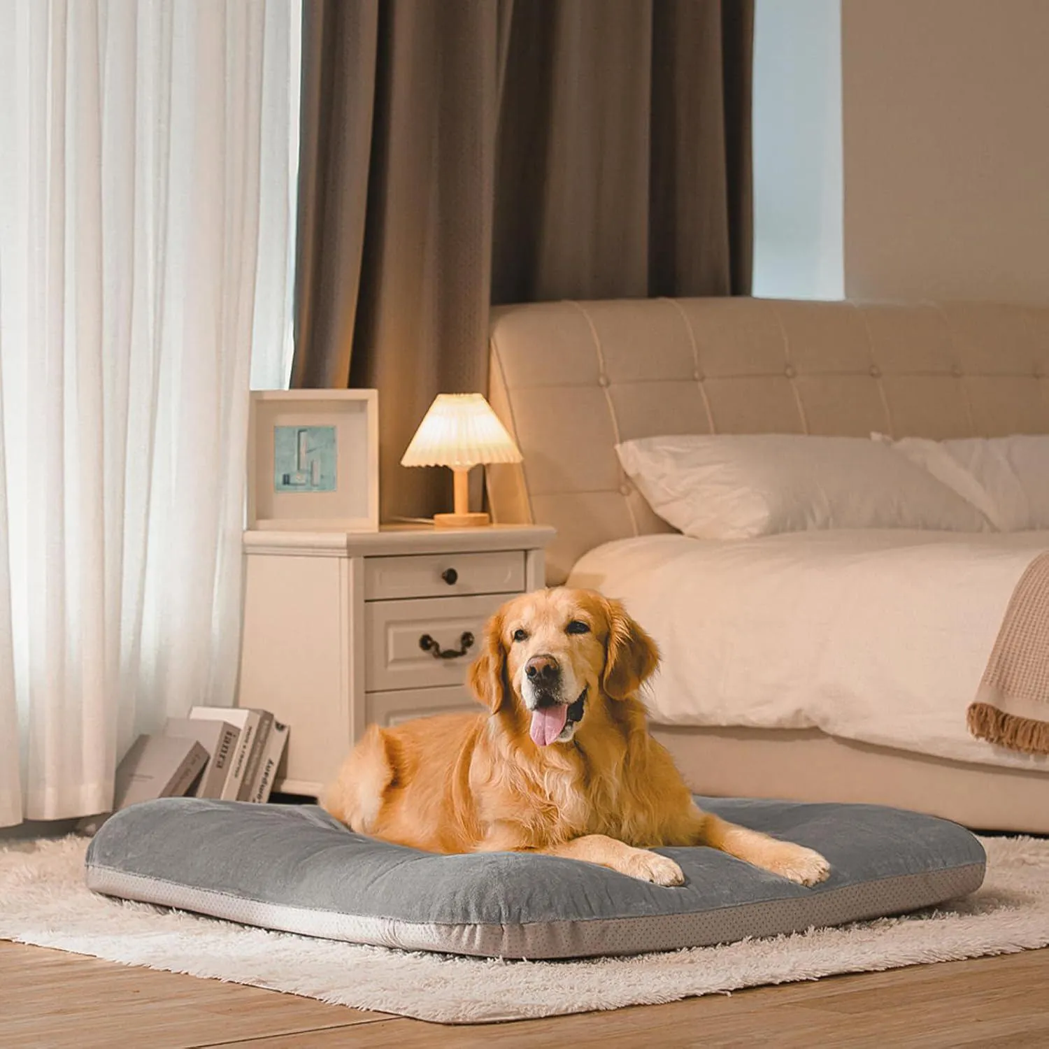 Cama Ortopédica Extra Grande para Perros 9