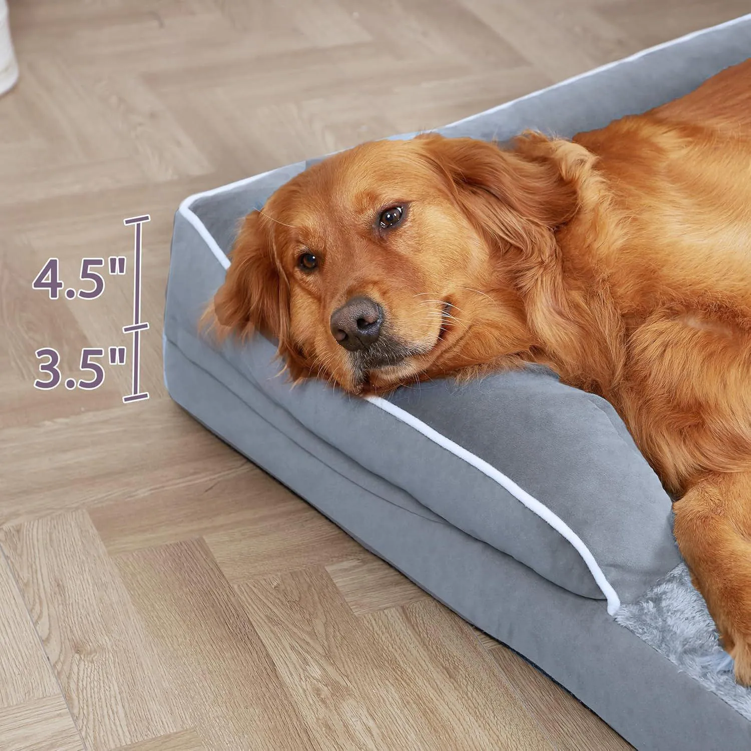 Cama Ortopédica Grande para Perros 4