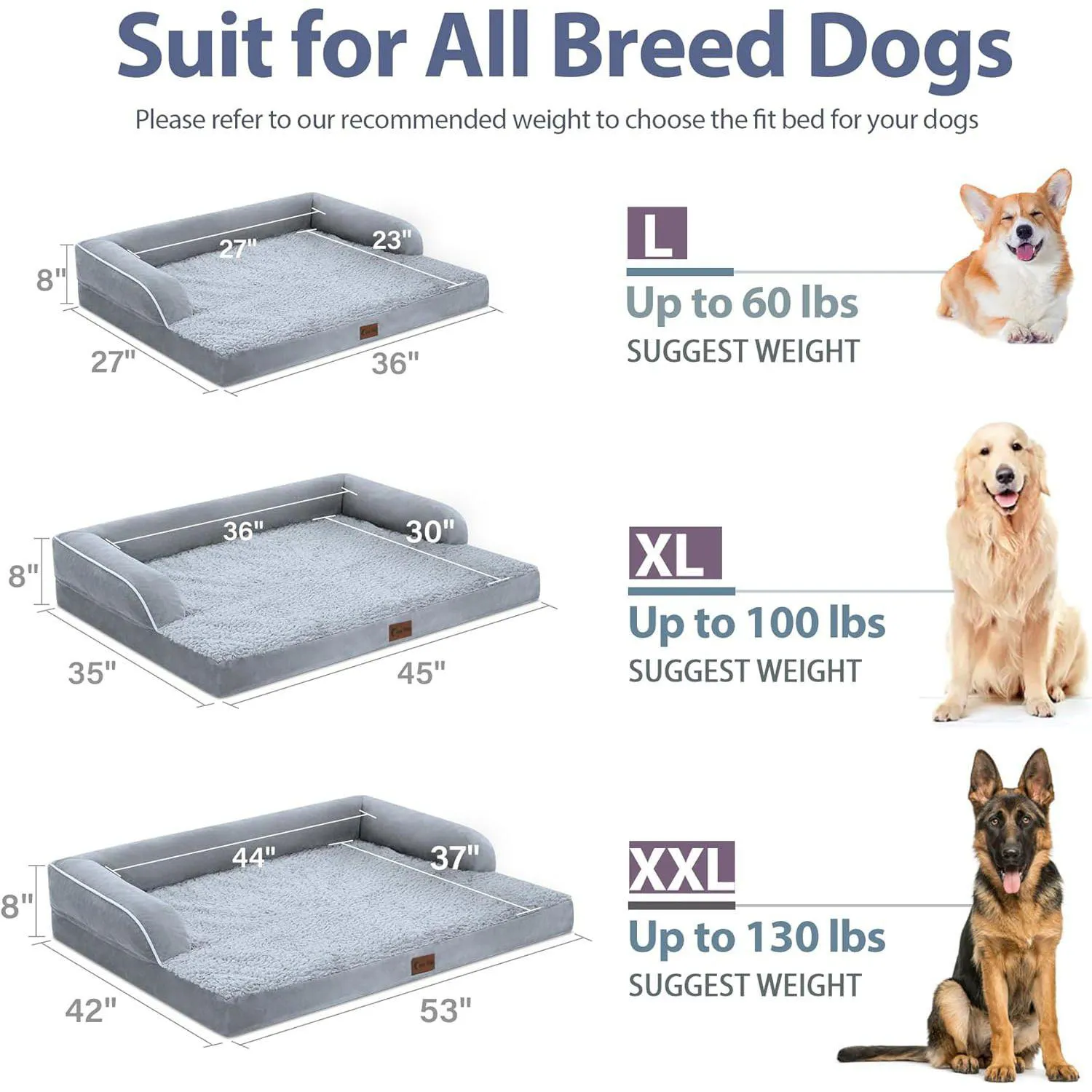Cama Ortopédica Grande para Perros 5