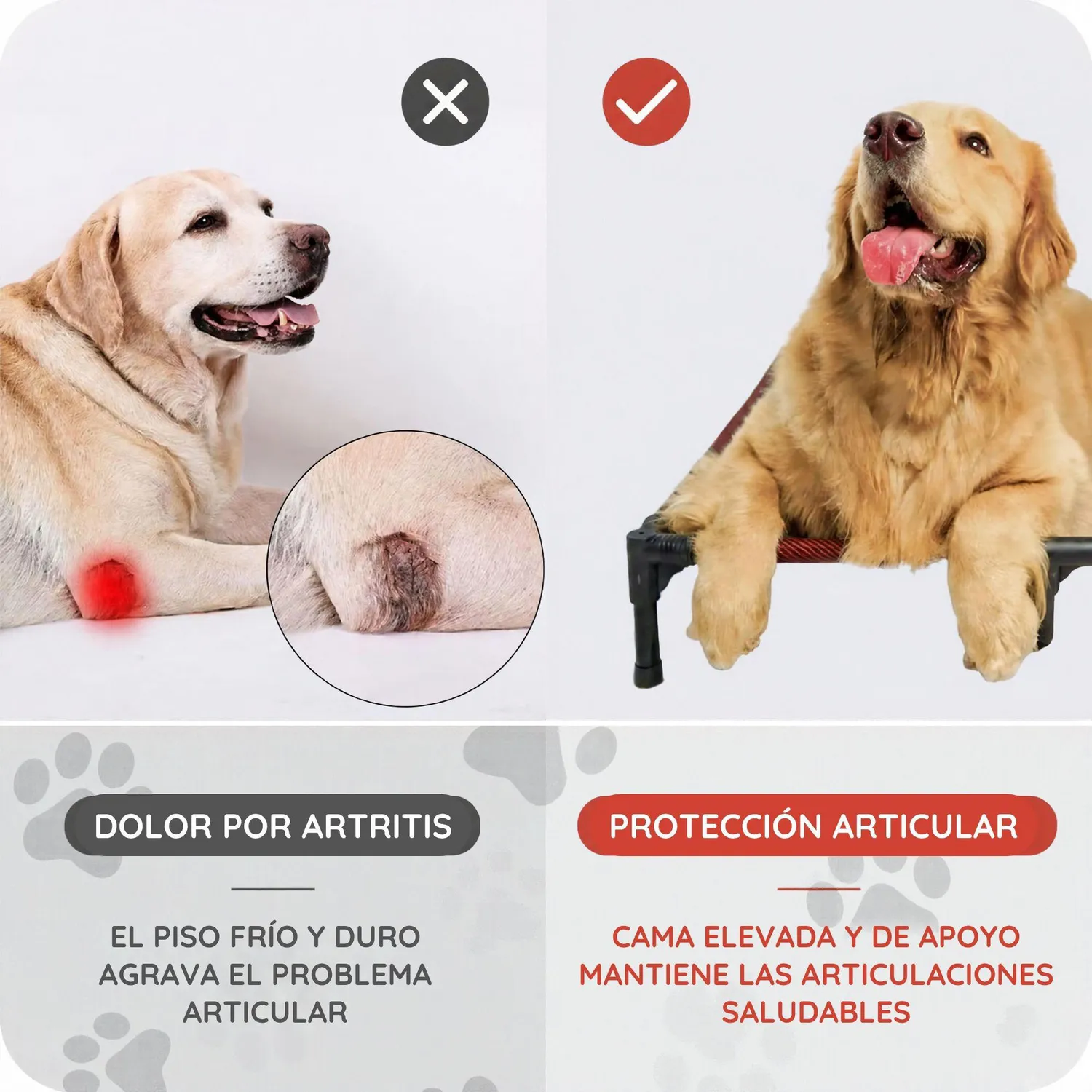 Cama Elevada para Mascotas Impermeable 7