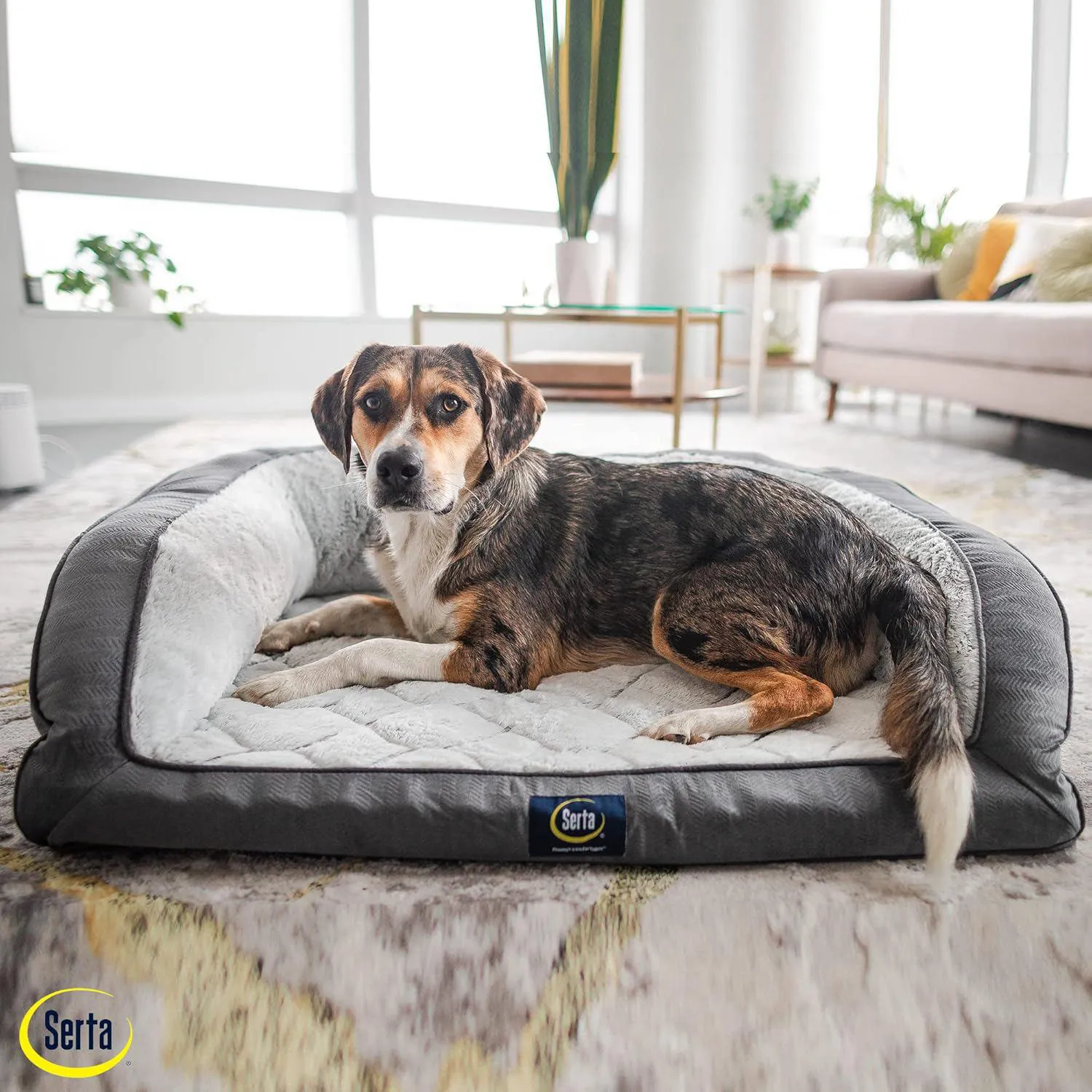 Cama Ortopédica Acolchada para Mascotas 5