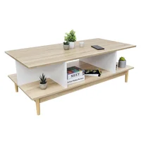 Mesa de Centro Estilo Nórdico Blanco y Marrón