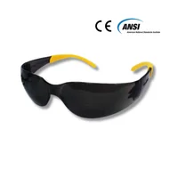 Gafa Lente Claro Flex Con Filt Uv Aray Aemp Anzi Z87.1-united Set x 6