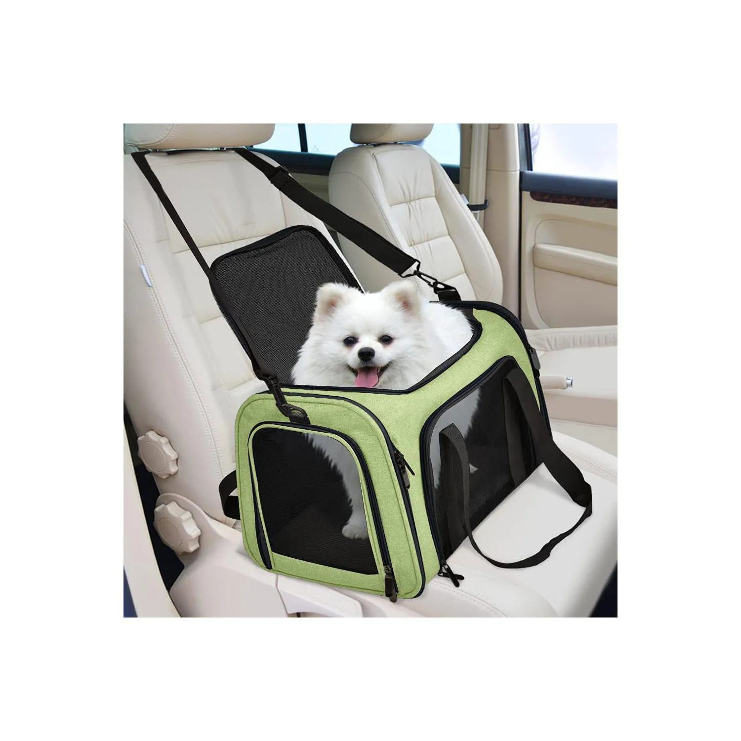 Guacal Grande para Mascotas Henkelion Color Verde 5