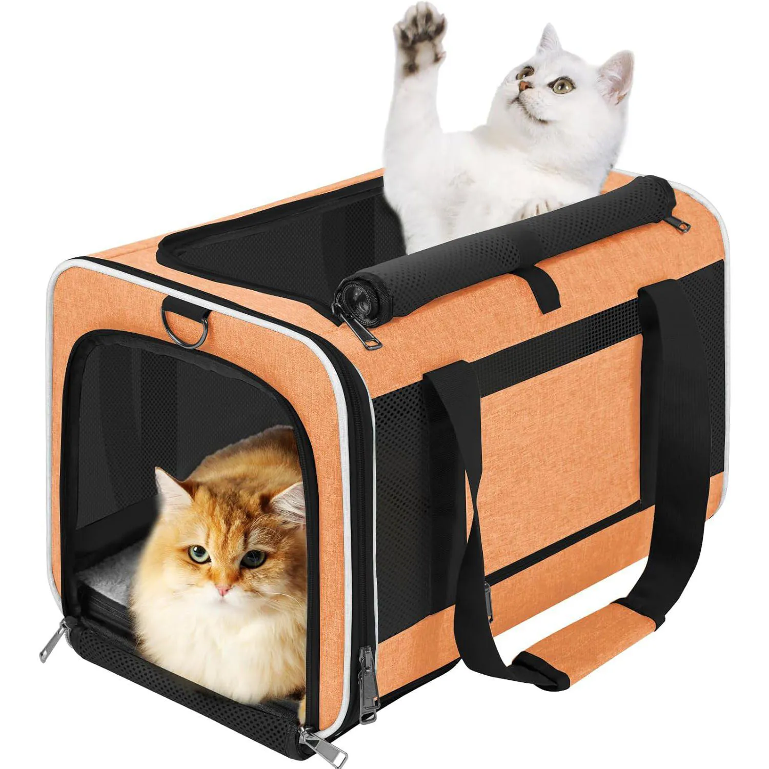 Bolsa de Transporte Premium Grande para Mascotas GAPZER