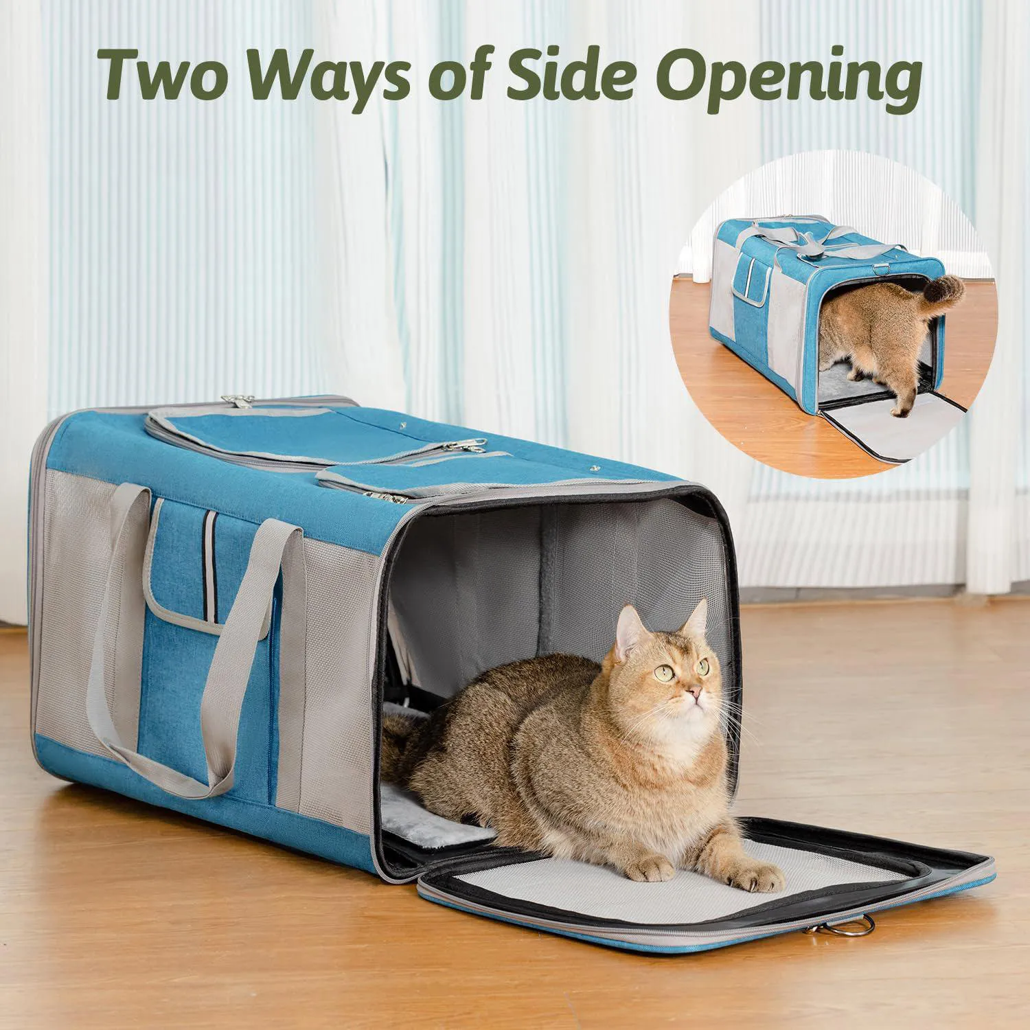 Guacal Ventilado para Gatos Ideal para 2 Gatos de 55 x 35 x 35 cm Color Azul 3