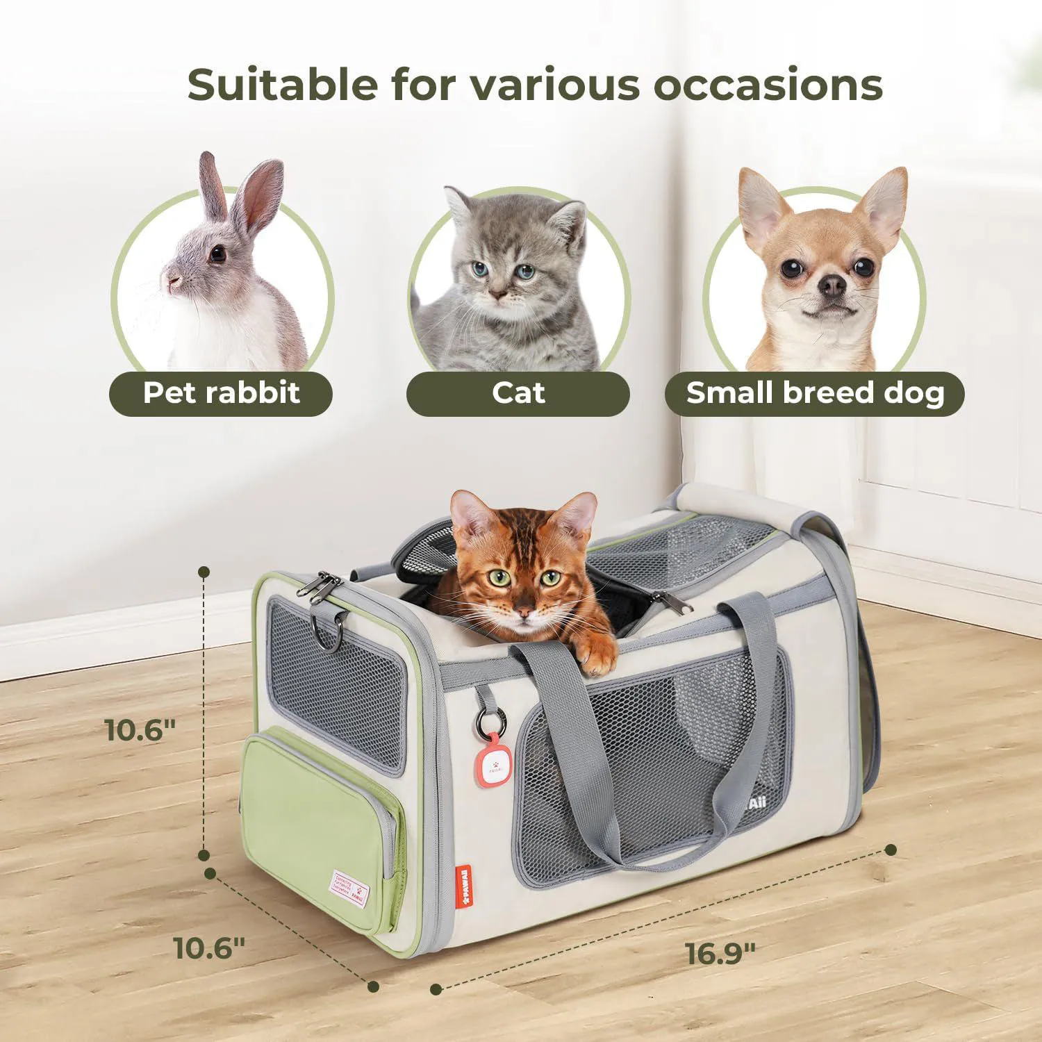 Guacal Pawaii para Gatos y Perros Pequeños 4