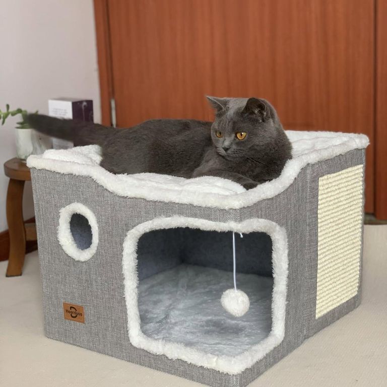 Casa Para Gatos Impermeable Con Asa - Cama Extraíble, Fondo Antideslizante, 3 Tamaños (35, 45, 60 Cm)