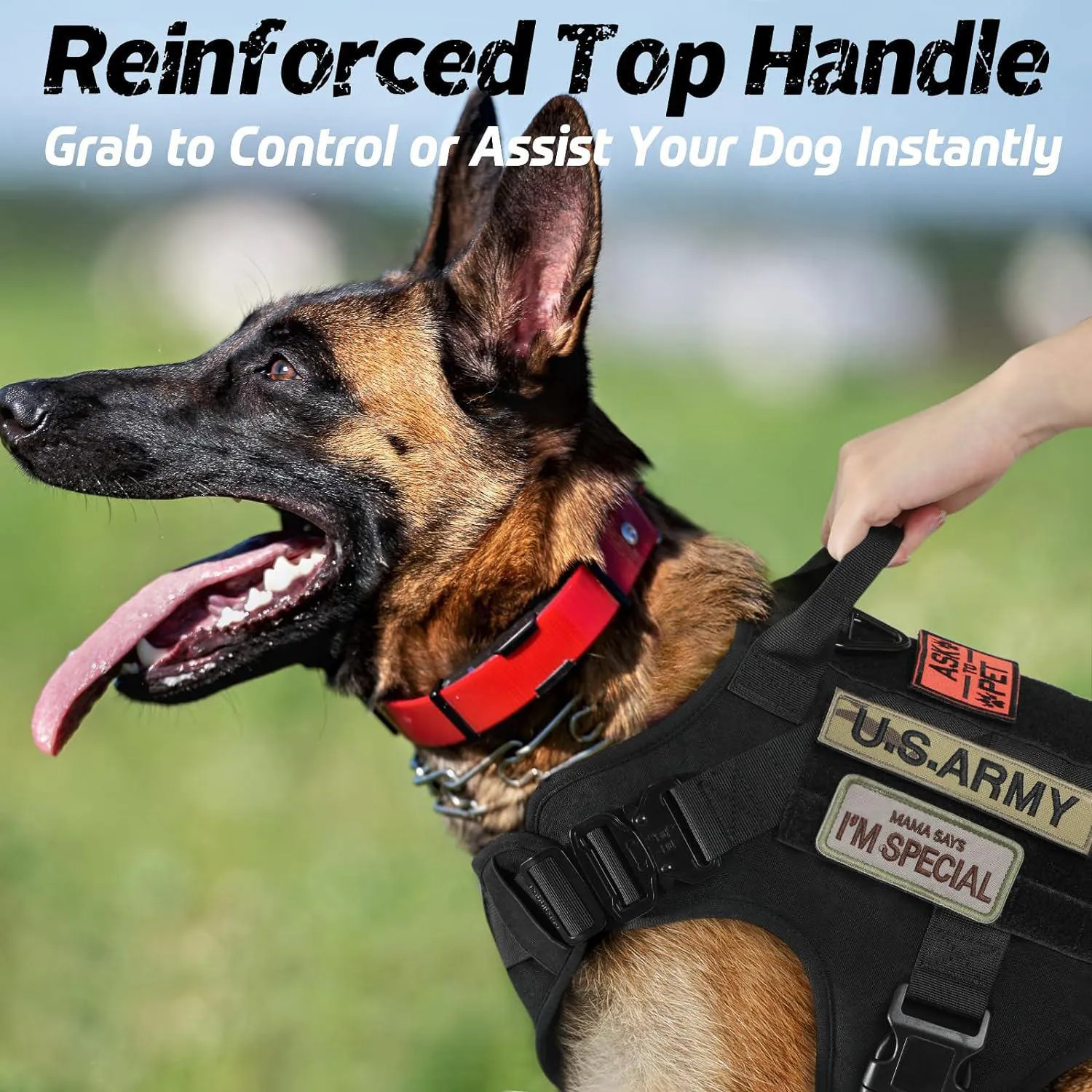 Arnés Táctico Ajustable para Perros Grandes Rabbitgoo 6