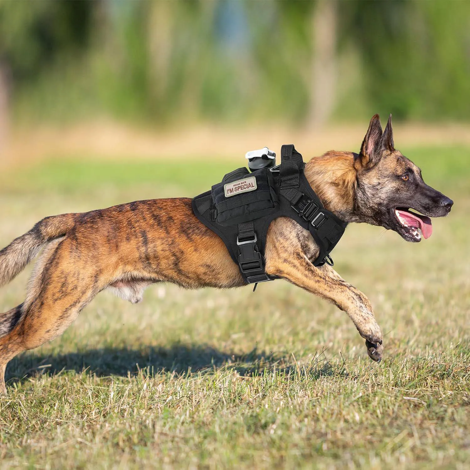 Arnés Táctico Ajustable para Perros Grandes Rabbitgoo 9