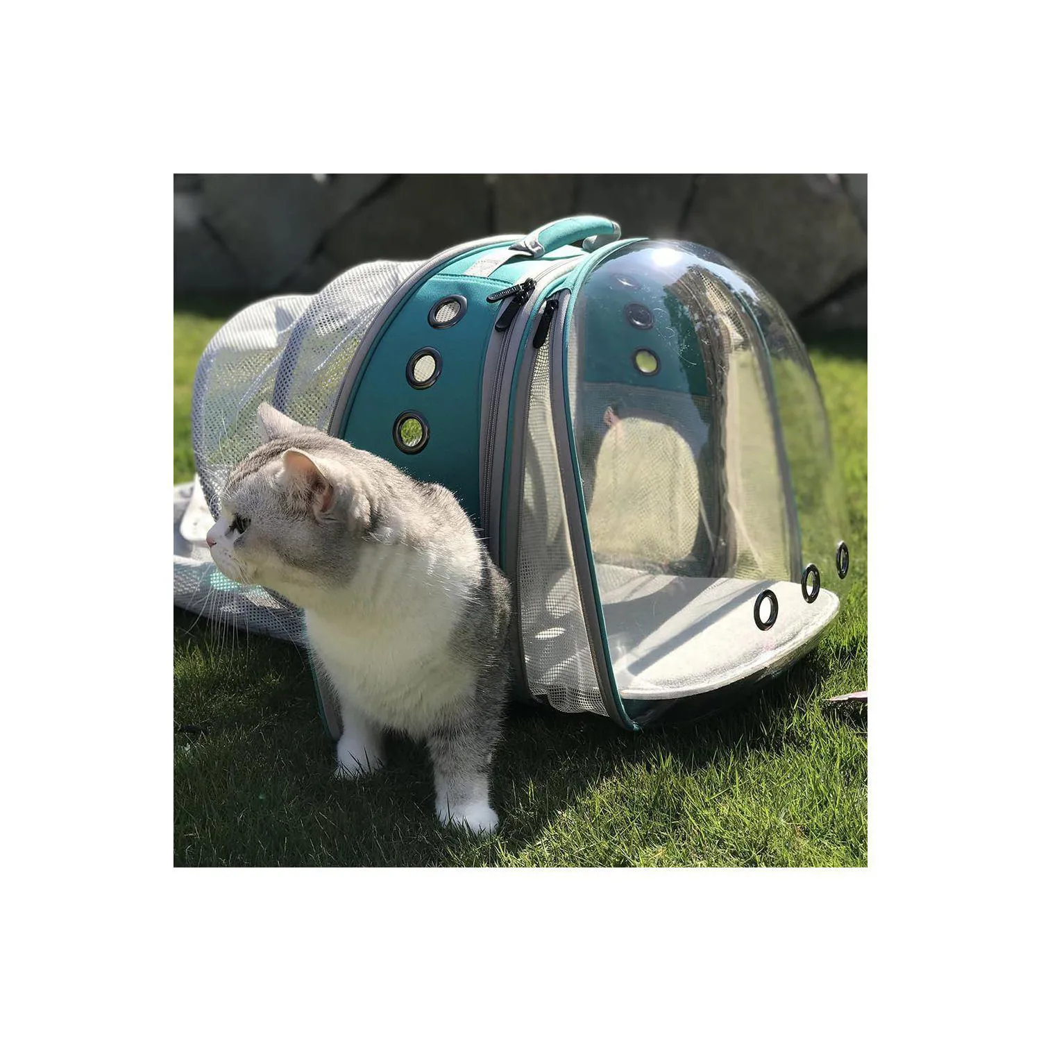 Mochila Transportadora Expandible para Mascotas 5