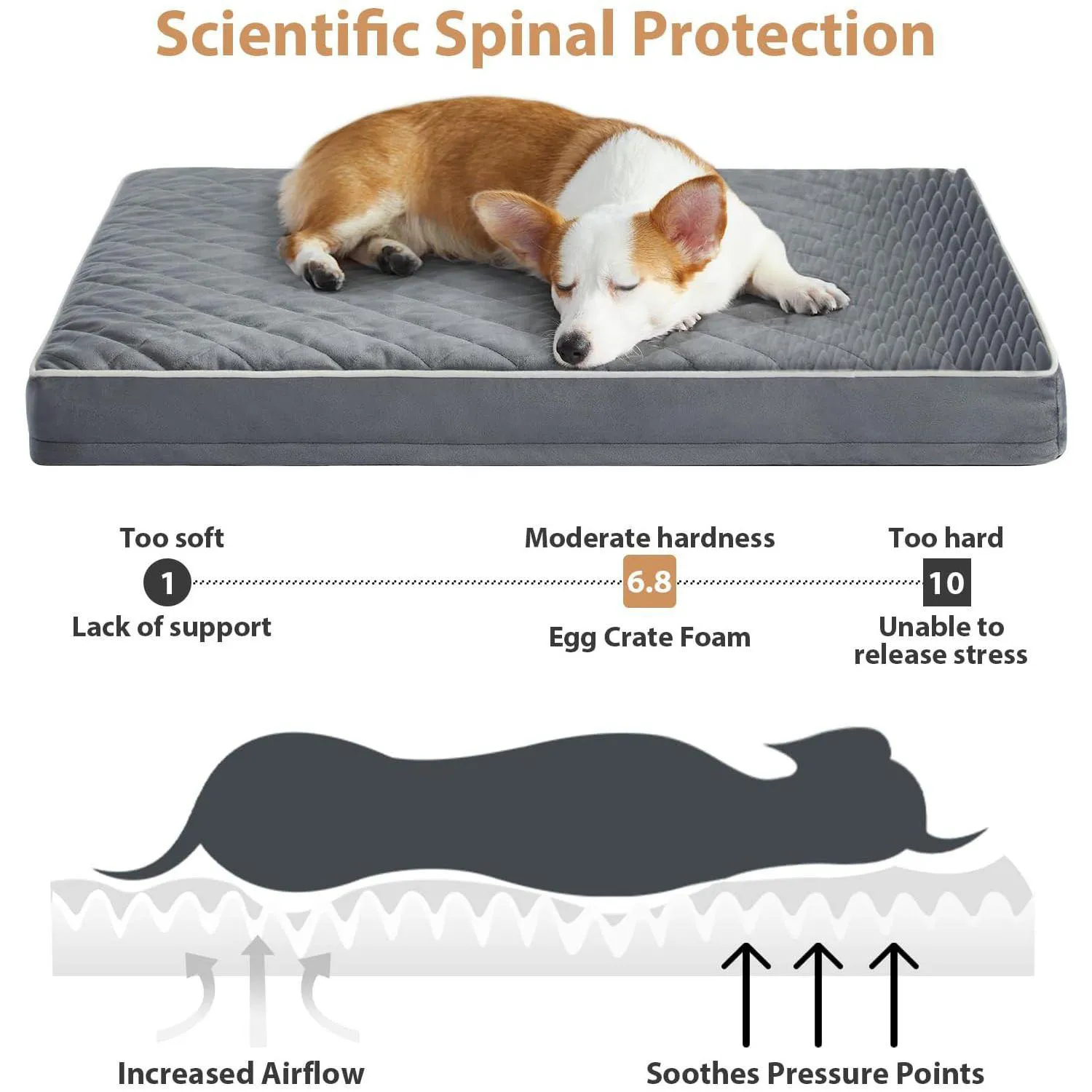 Cama Ortopédica Impermeable para Perros Grandes 3