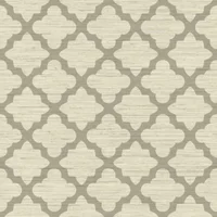 Papel de Colgadura Gris Figuras Geométricas 53cm x 10mt Dr6333