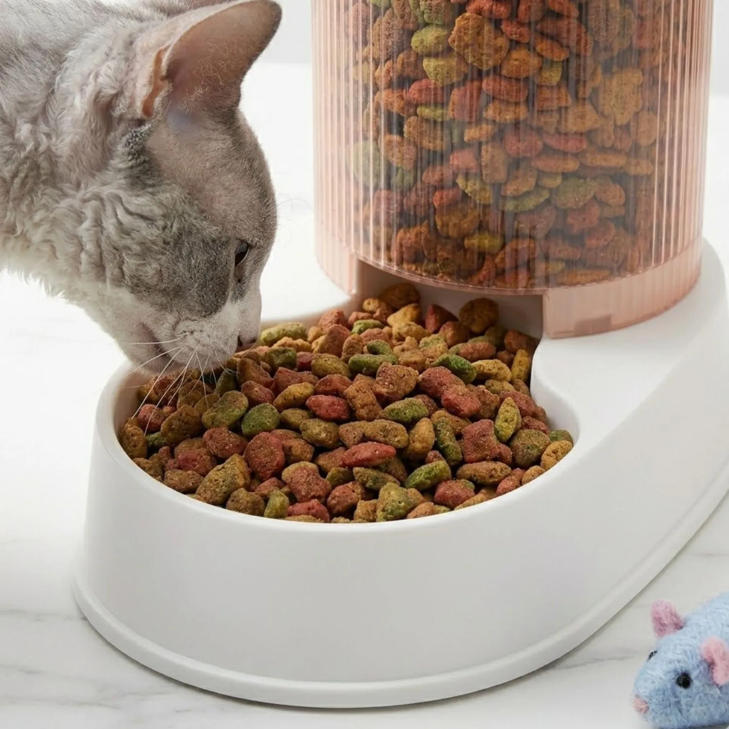 Dispensador Comida Mascotas Automático Color Transparente 4