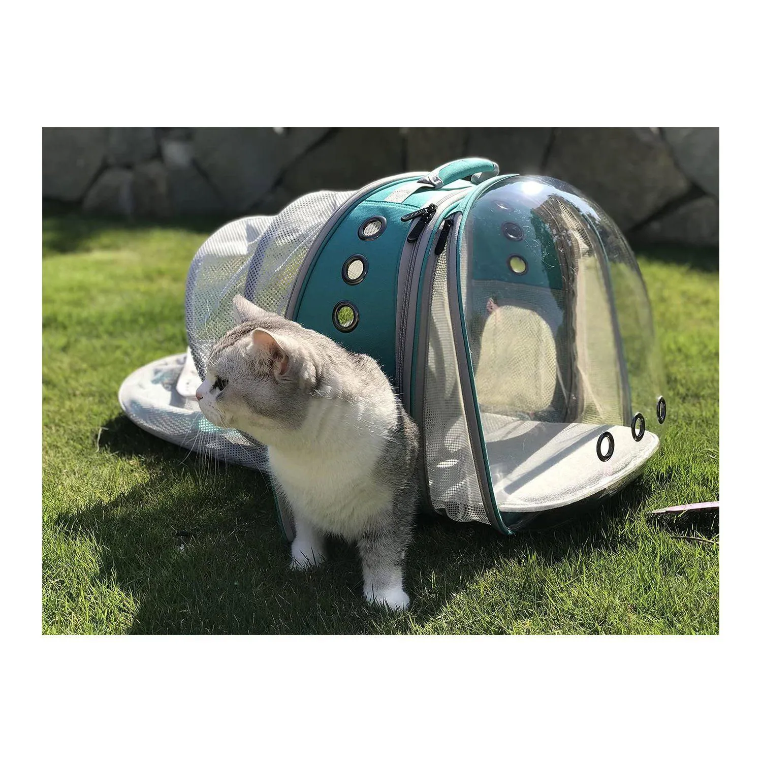 Guacal Top Tasta Portátil Para Mascotas Medianas Aprobado Por Aerolíneas 5