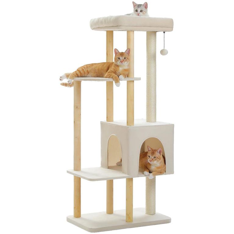 Muebles Gimnasios Colgantes Para Gatos Rascadores Y Gimnasios Para