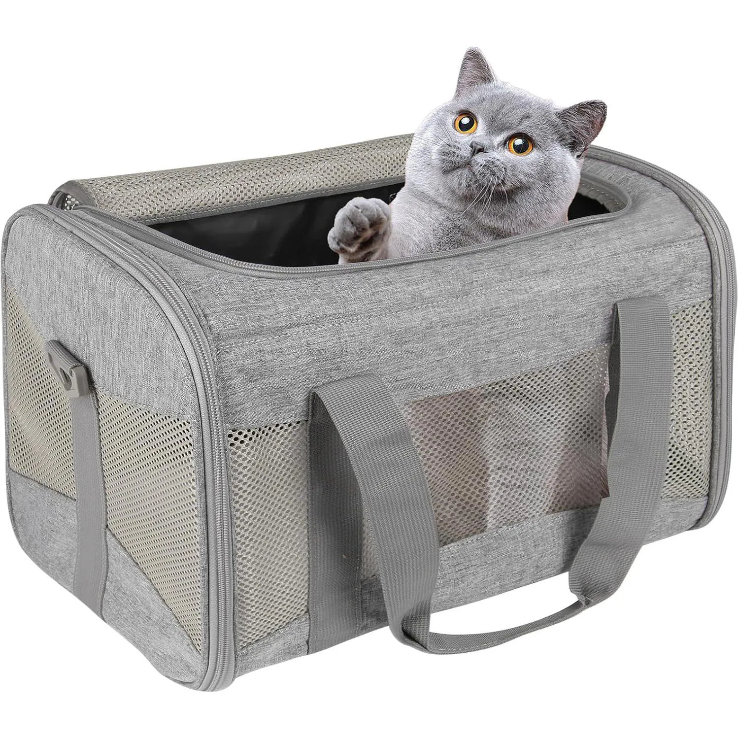 Guacal Top Tasta Portátil Para Mascotas Medianas Aprobado Por Aerolíneas