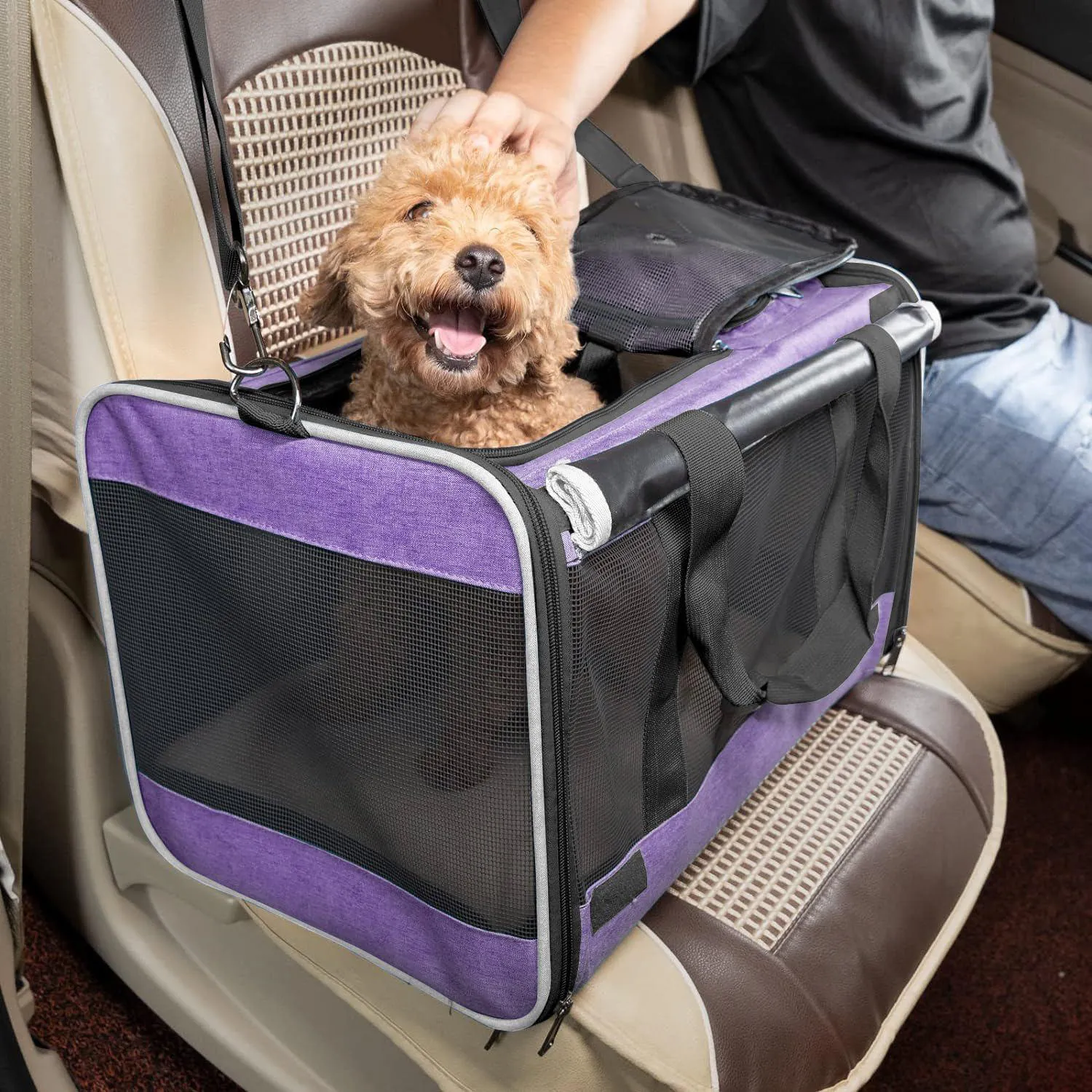 Guacal De Transporte Para Perros Y Gatos De Viaje 3