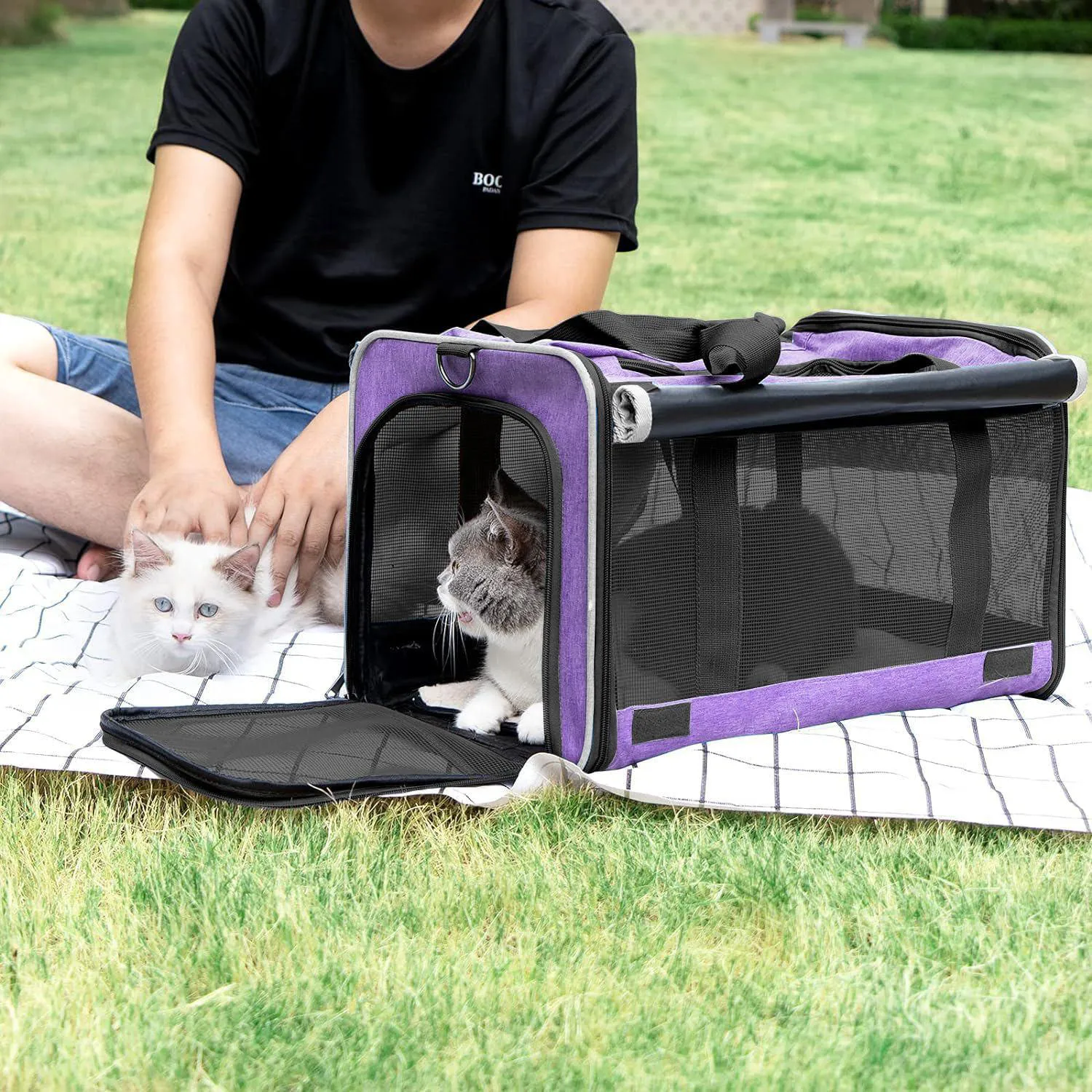 Guacal De Transporte Para Perros Y Gatos De Viaje 4