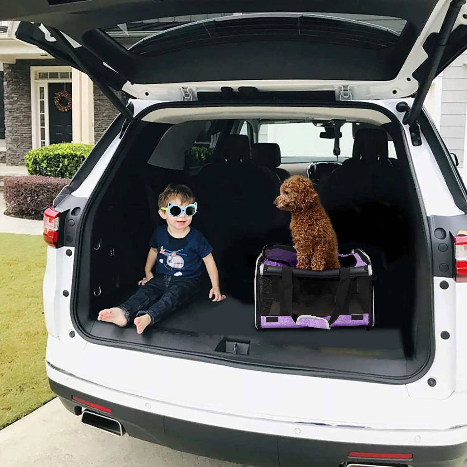 Guacal De Transporte Para Perros Y Gatos De Viaje 8