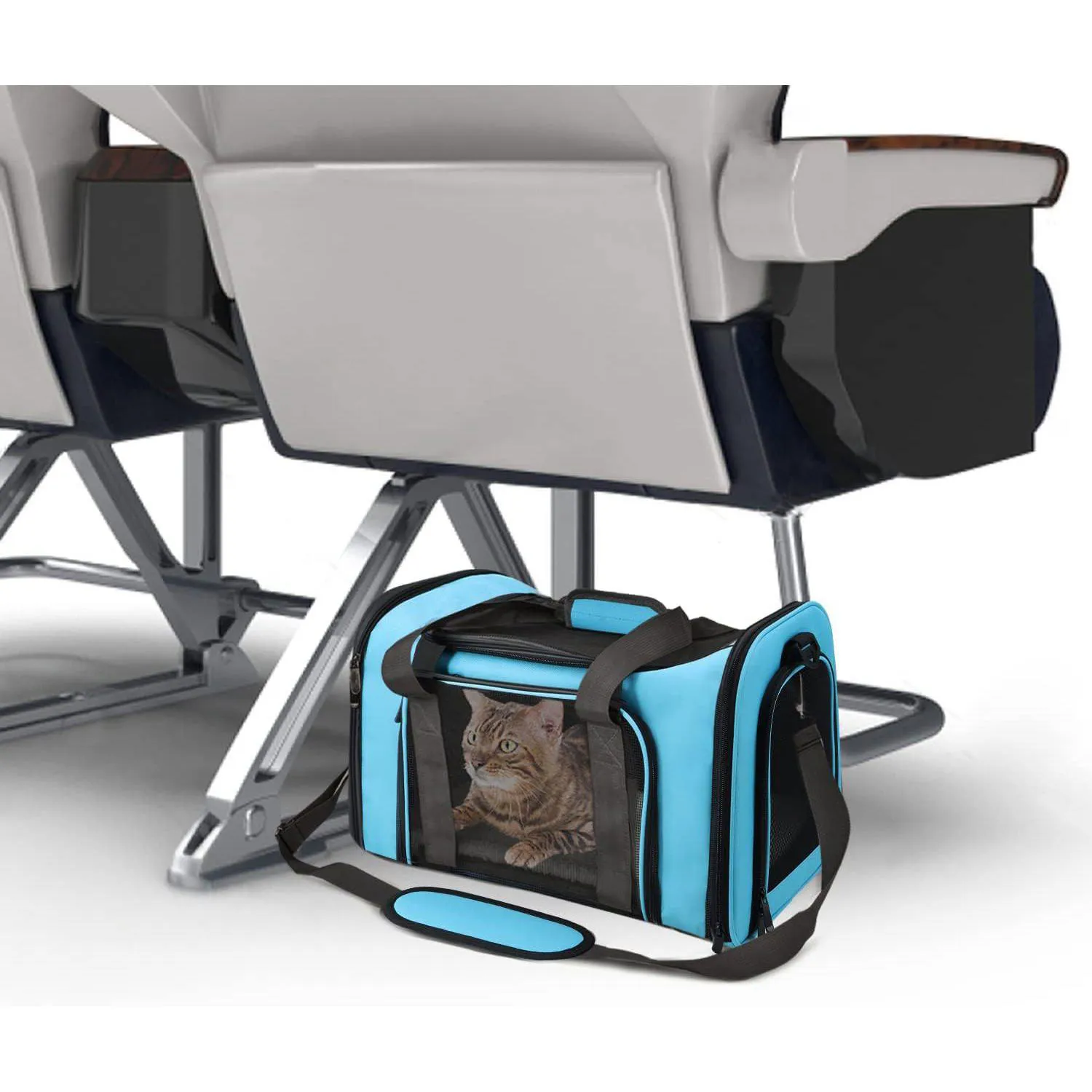 Guacal Grande para Mascotas de hasta 11 kg con Malla Transpirable y Diseño Plegable 4