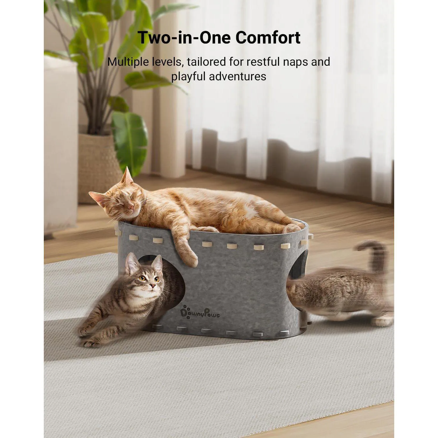 Casa Para Gatos DownyPaws PeekaPurr Con Diseño Plegable Y Espacio Doble